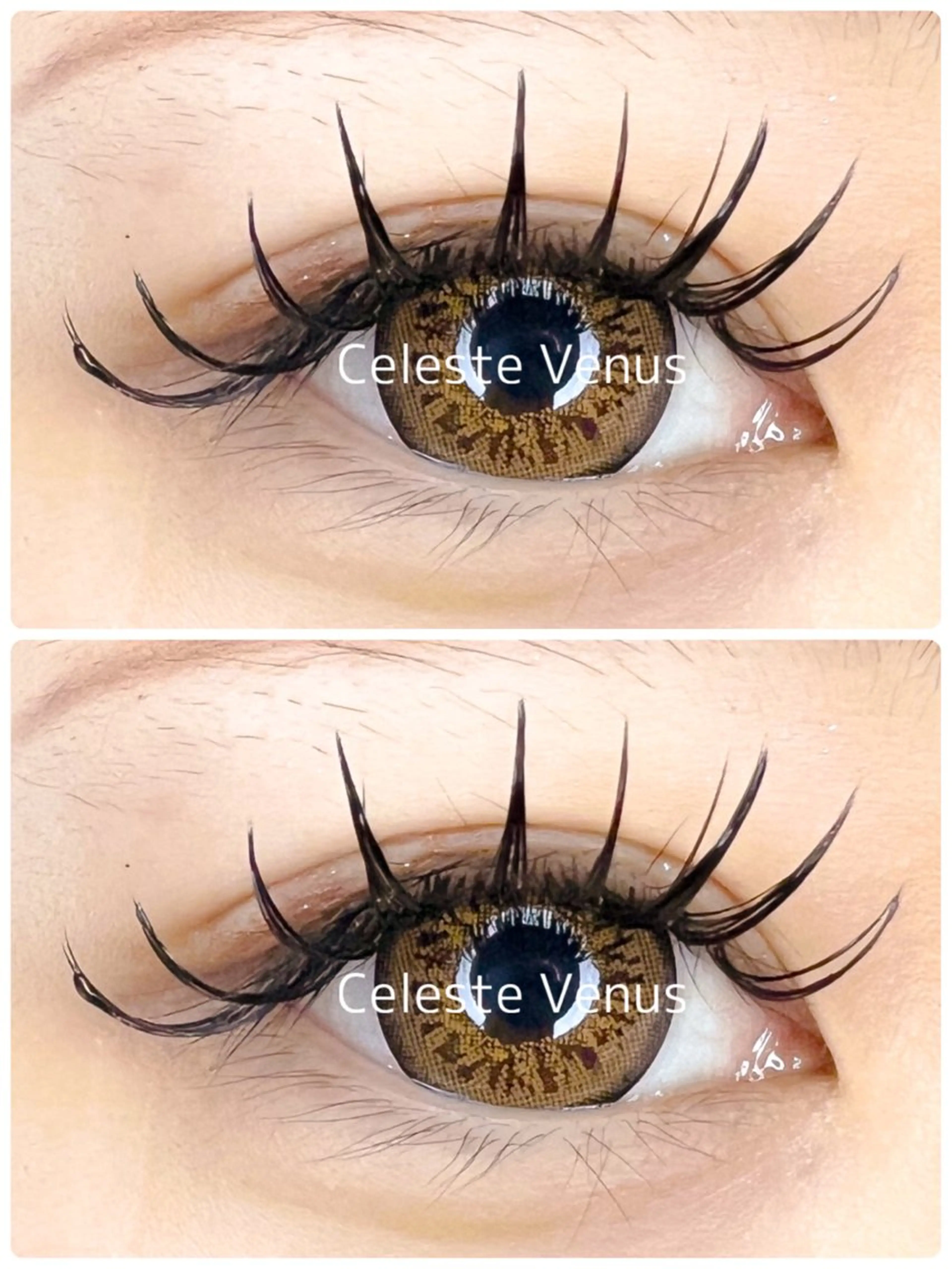 マツエク・マツパ 付け放題 バインドロック マツエク Celeste Venus所属・🧸Celeste Venusのマツエク・マツパデザイン