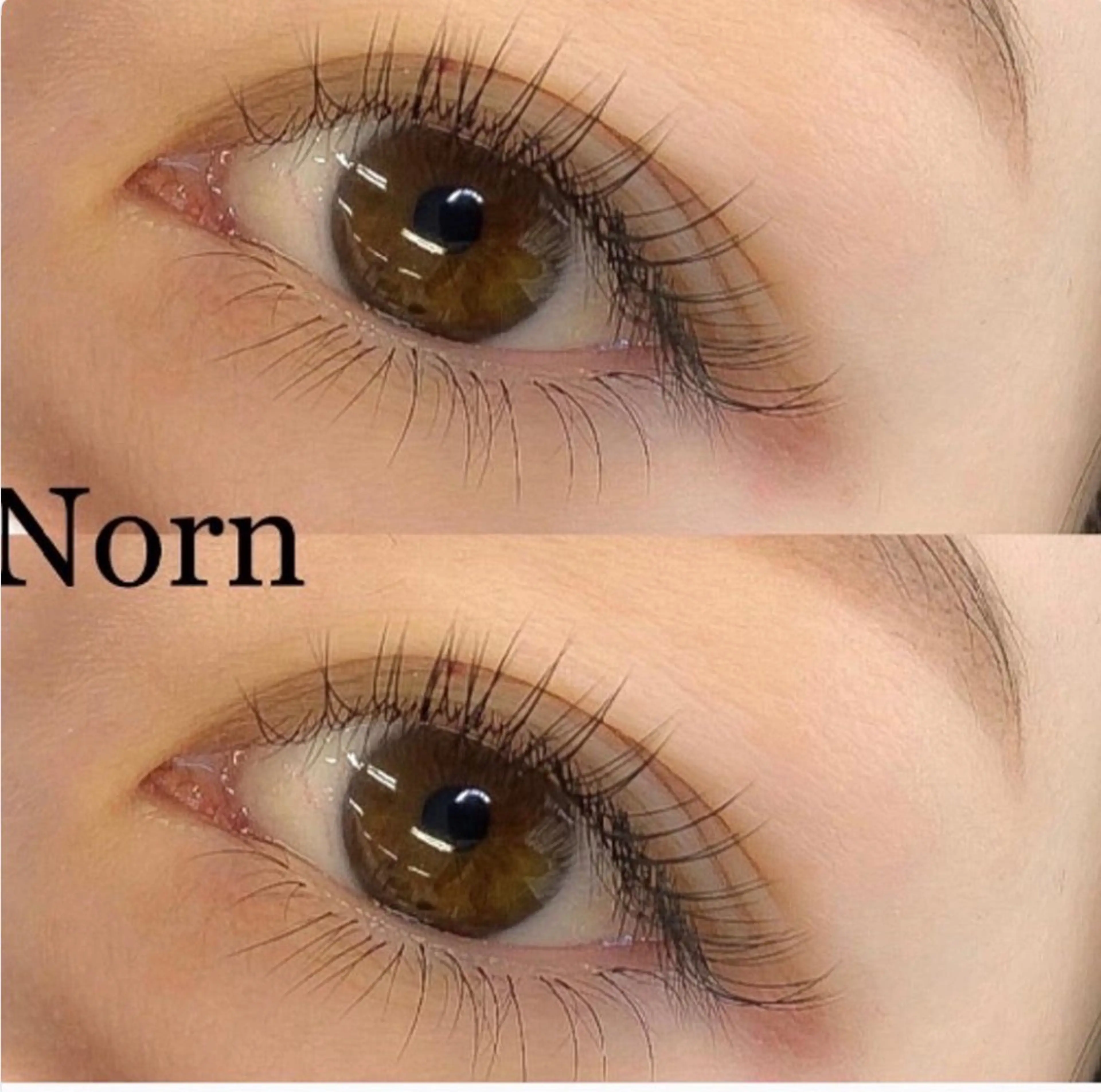 マツエク・マツパ Norn錦糸町店所属・Reina 🩰 / Norn錦糸町💖のマツエク・マツパデザイン