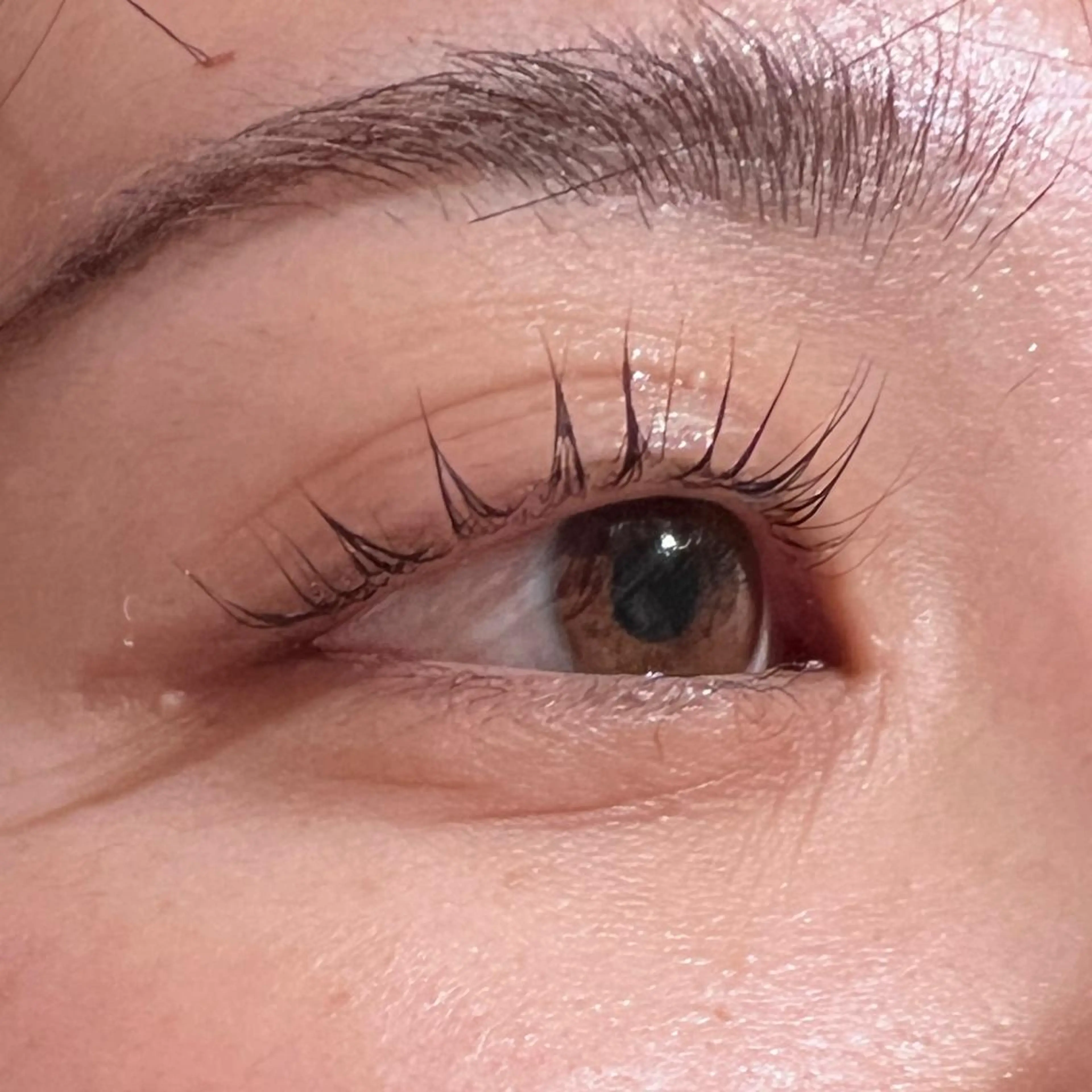 マツエク・マツパ 韓国風マツエク パリジェンヌラッシュリフト マツパ 𝙎𝙚𝙞𝙧𝙖 ☆カット/パーマのヘアスタイル