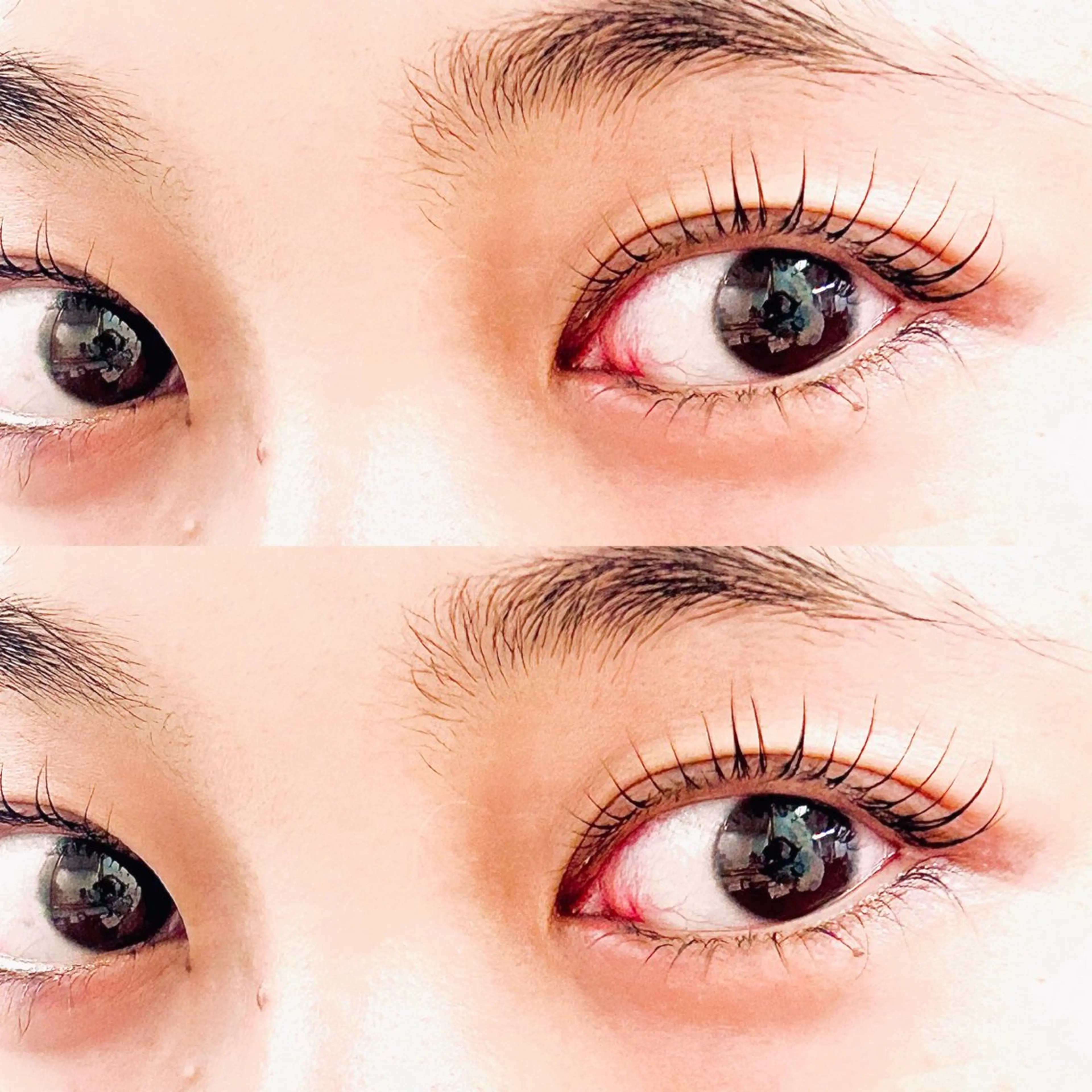 マツエク・マツパ カラーマツエク フラットラッシュ 韓国風マツエク 一重×まつ毛パーマ ワンホンマツエク sigh yurieのマツエク・マツパデザイン