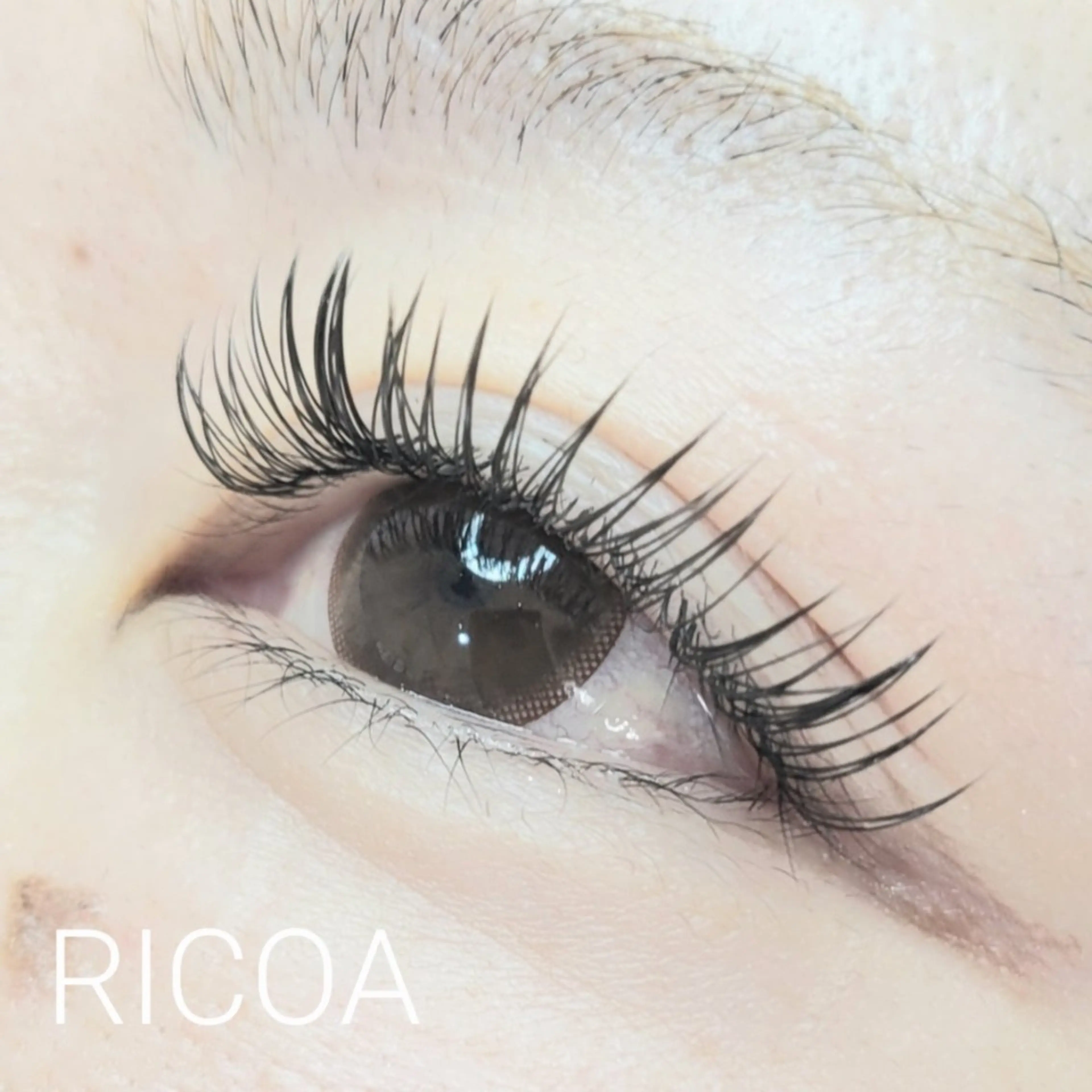 マツエク・マツパ フラットラッシュ マツエク RICOA 酒井のマツエク・マツパデザイン