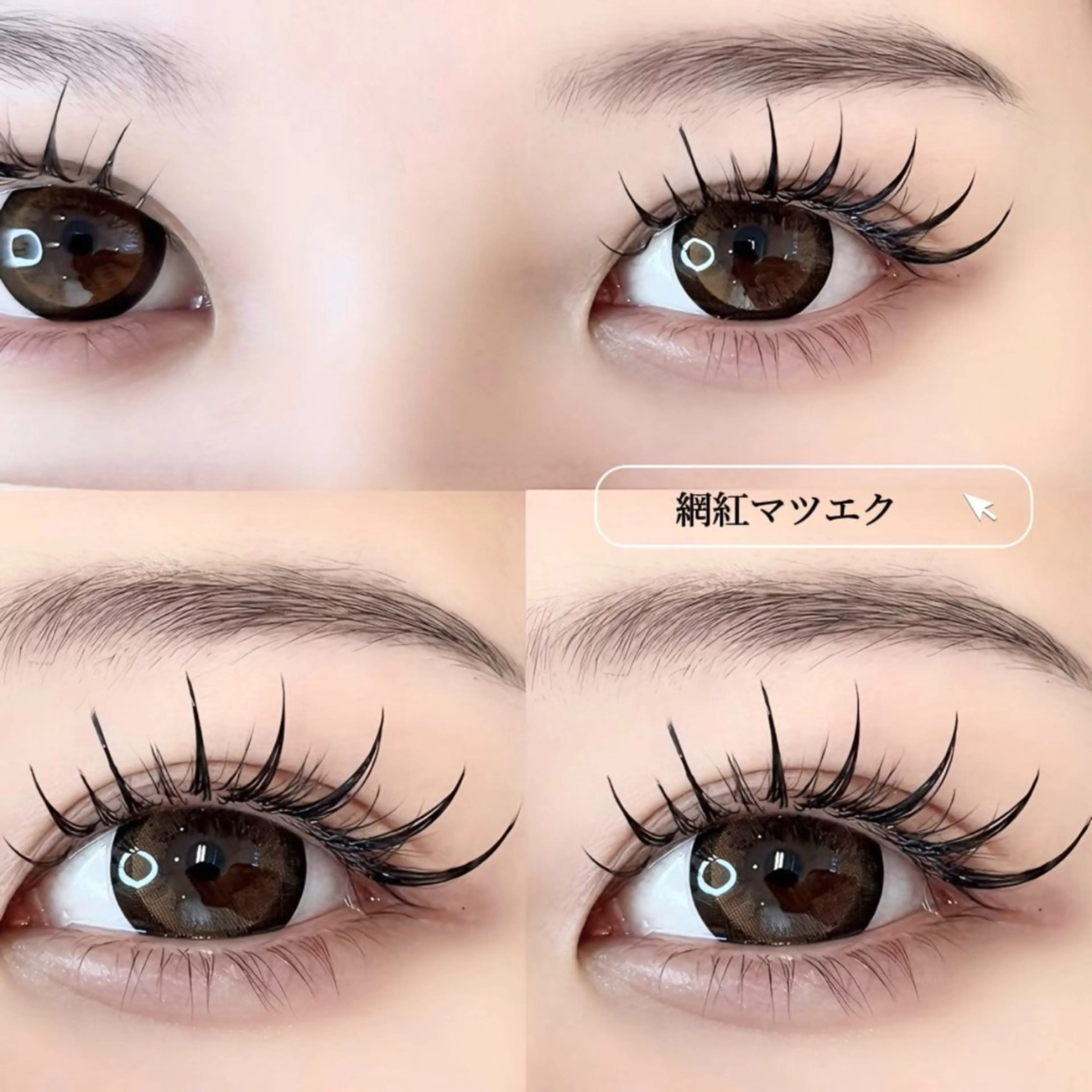 マツエク・マツパ Ayame&heal thy/ワンホン\のマツエク・マツパデザイン