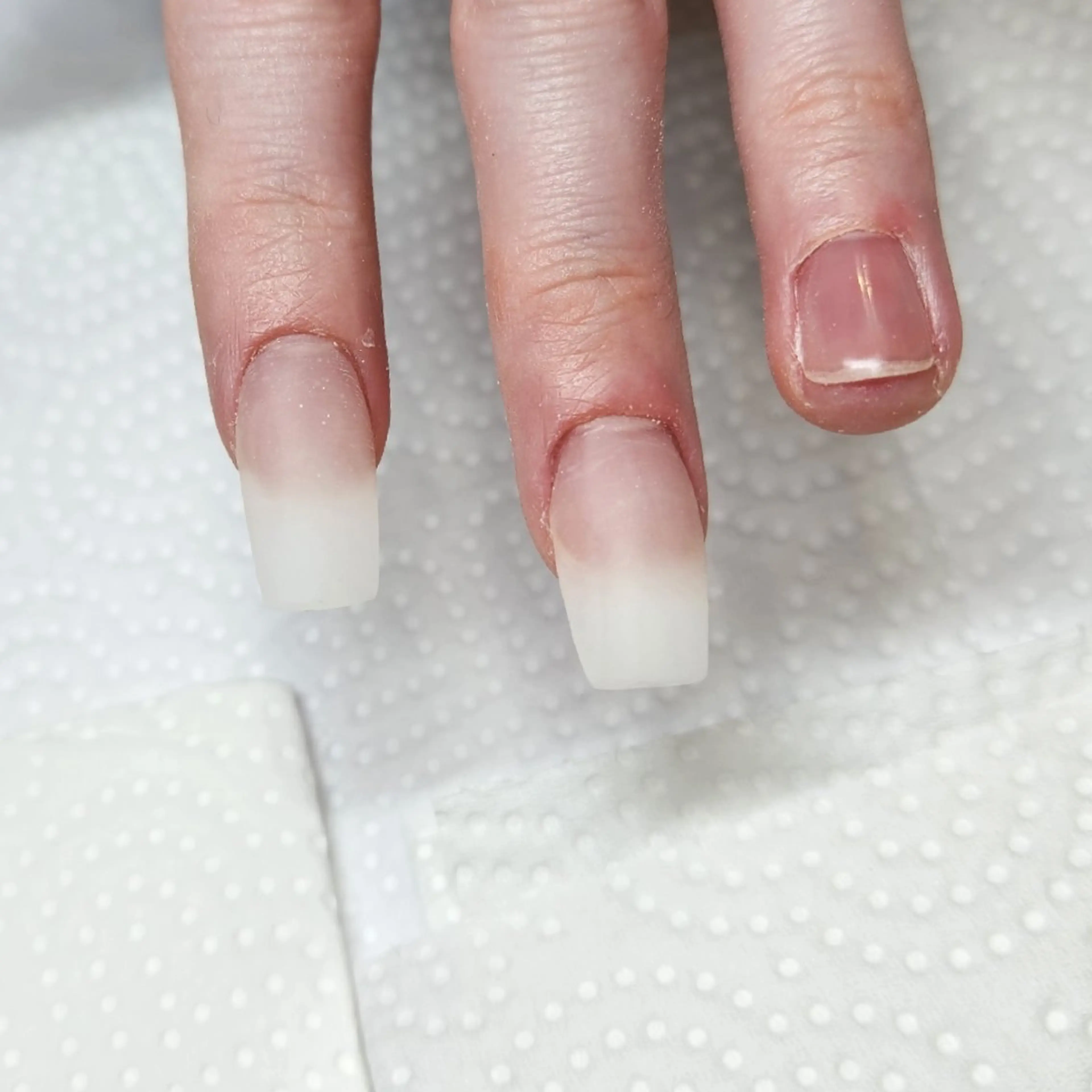 ネイル アートネイル 長さ出し スカルプネイル nailsalon neonのネイルデザイン