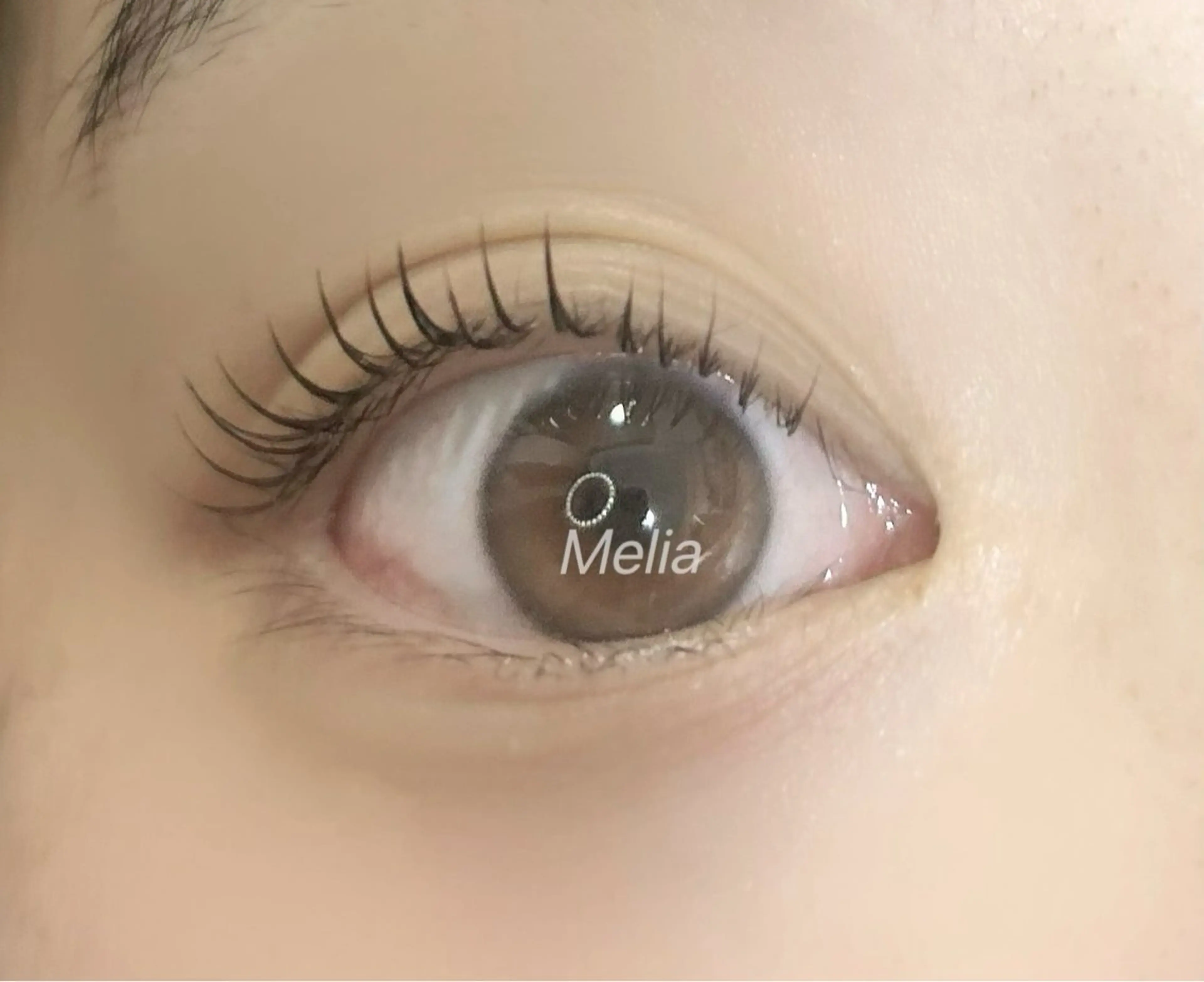 マツエク・マツパ Melia Chieのマツエク・マツパデザイン