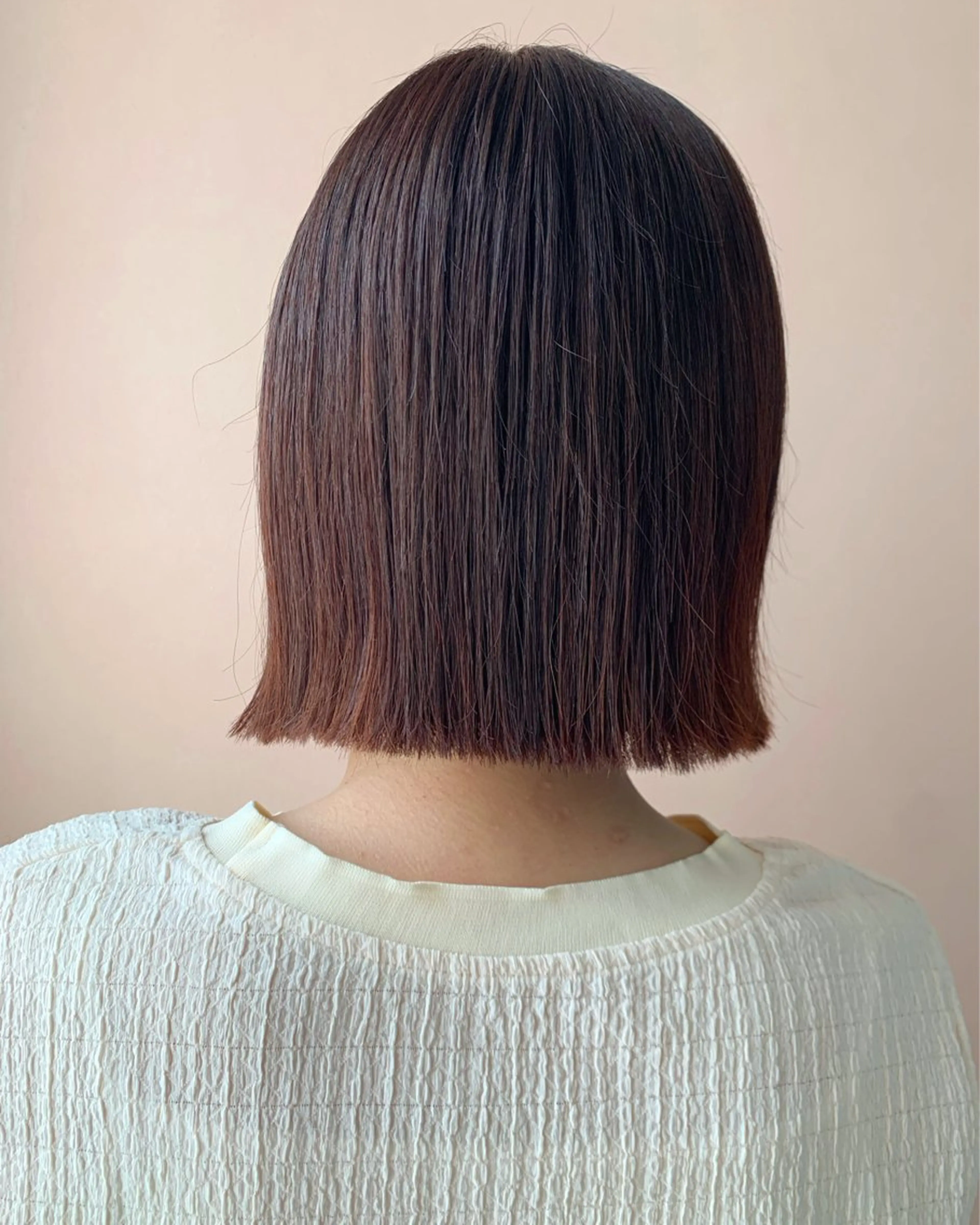 ショート カラー ブラウンカラー レッドカラー レッドブラウン ボブ hub hair レイヤー/透明感のヘアスタイル