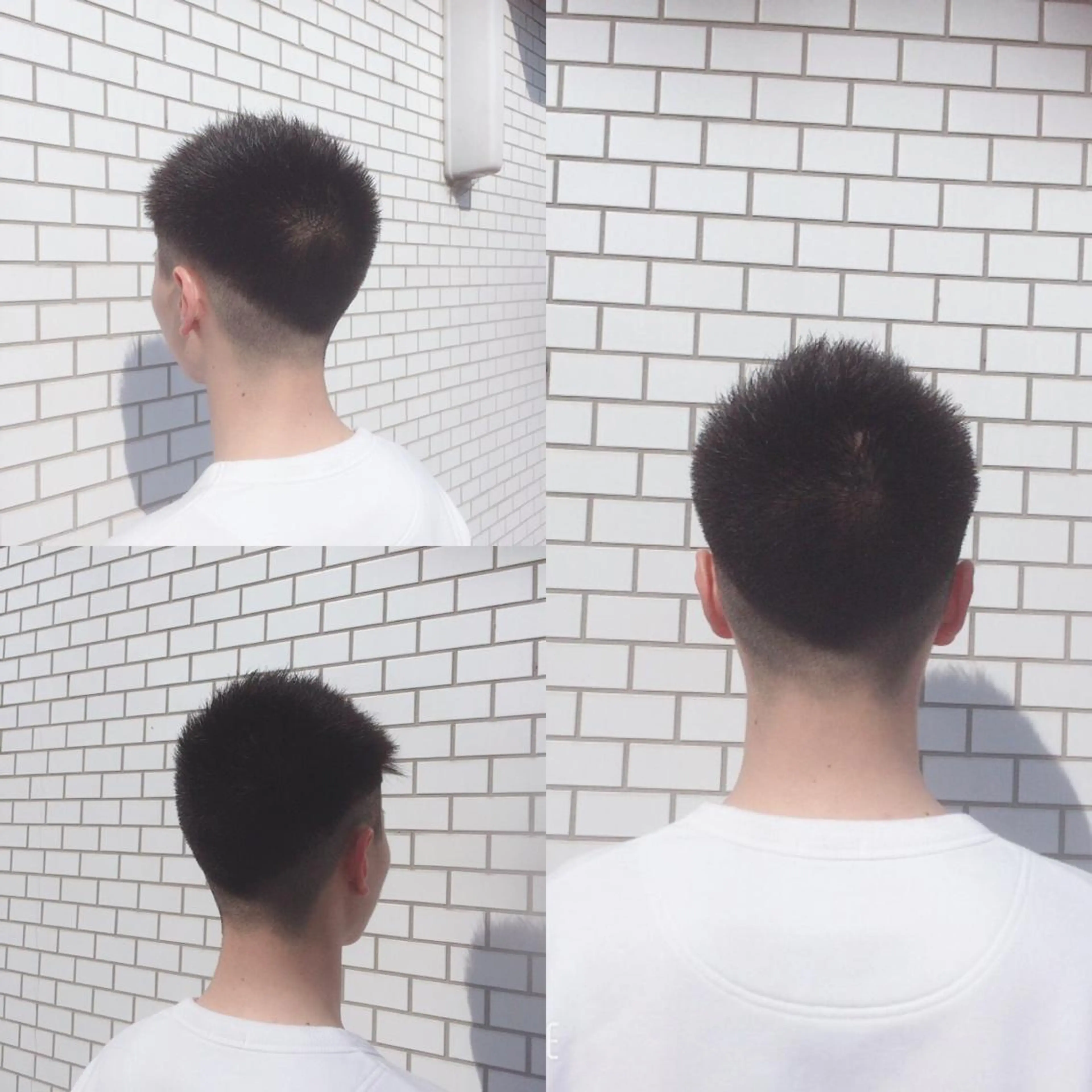 メンズ メンズベリーショート Leggu所属・木田 智大のヘアスタイル