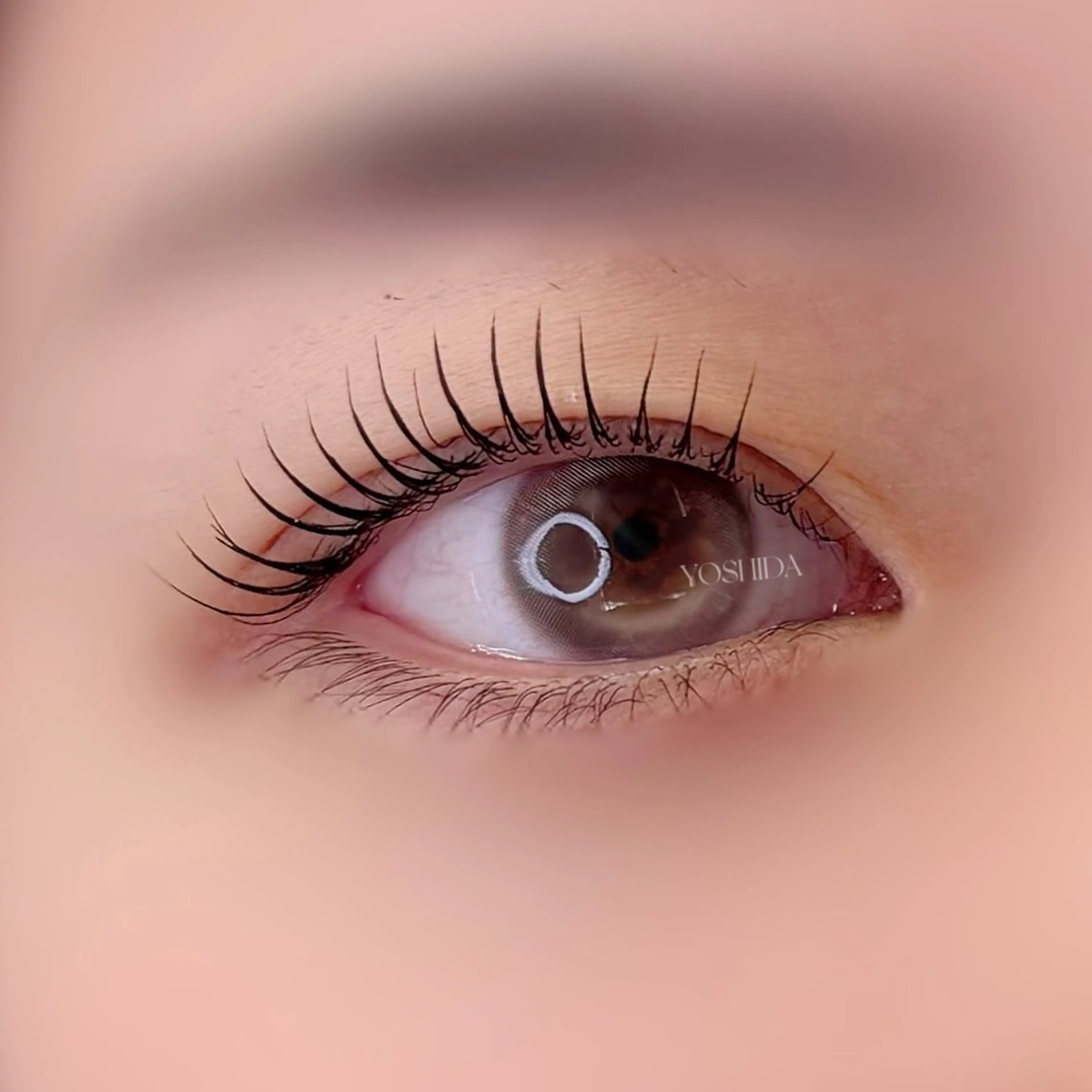 マツエク・マツパ マツパ 【一重┊︎奥二重】 YOSHIDA🌙の眉毛・アイブロウイメージ