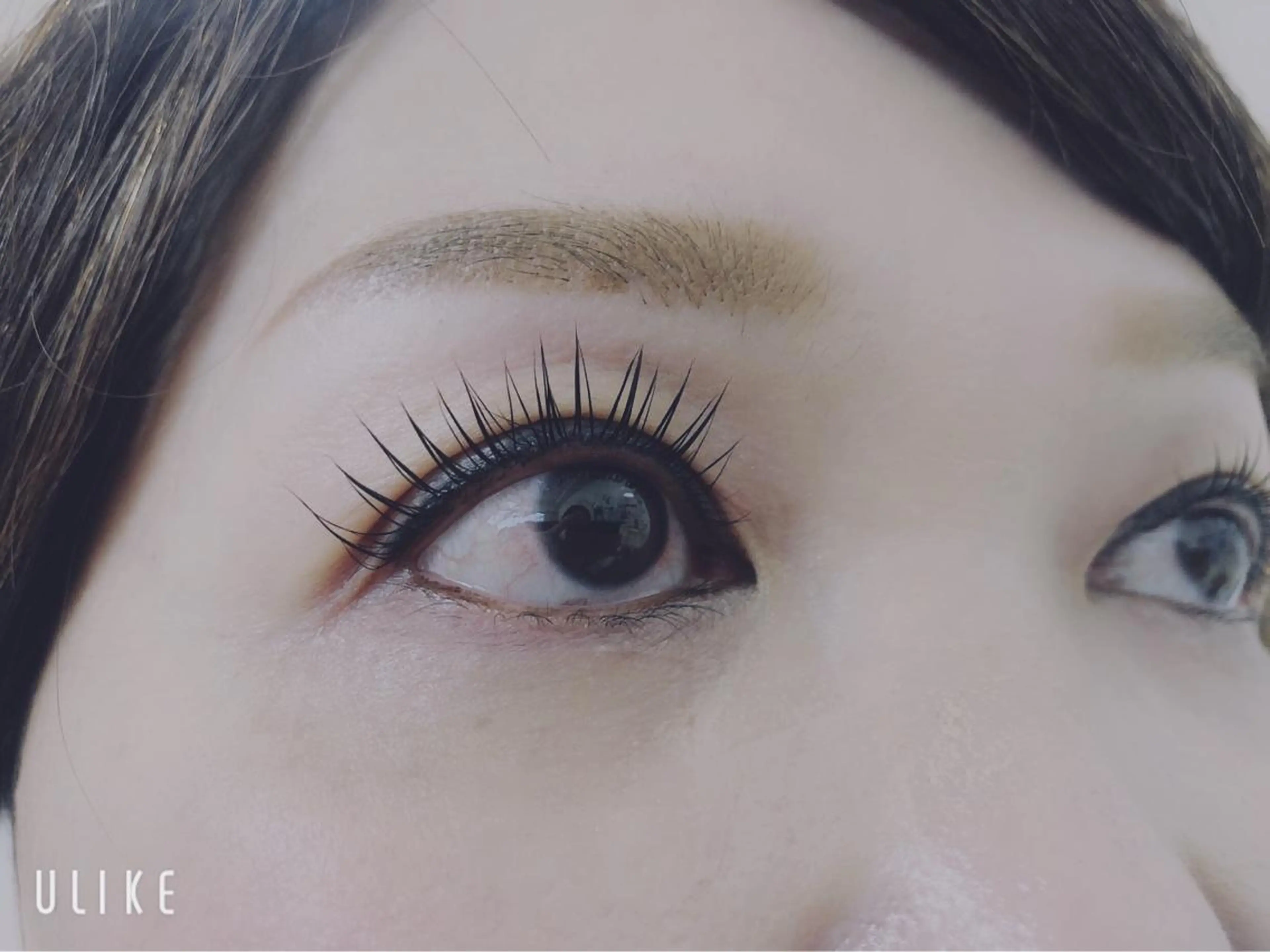 マツエク・マツパ emi ...の眉毛・アイブロウイメージ