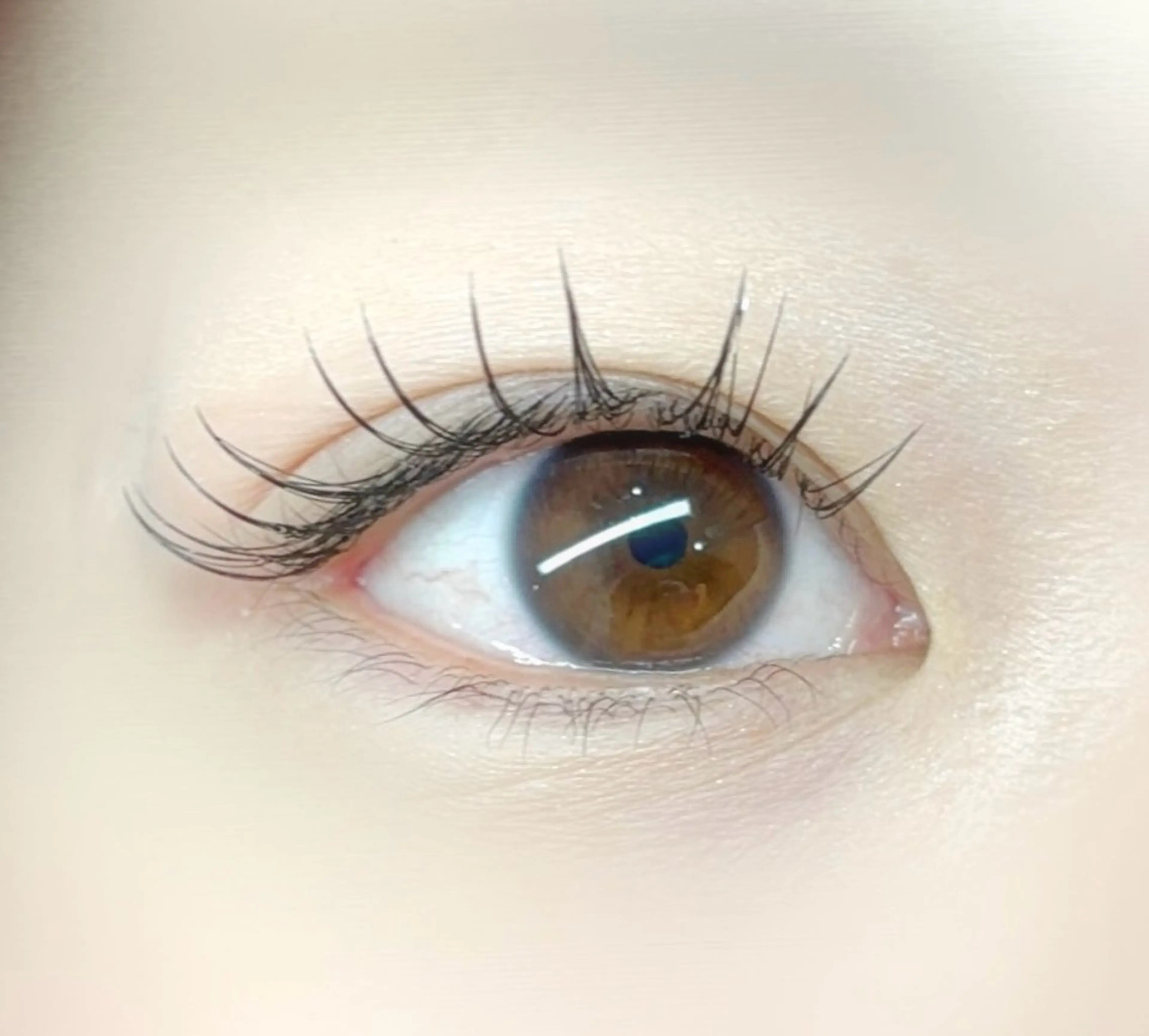 マツエク・マツパ sHeeR【シアー】 ハマナカのマツエク・マツパデザイン