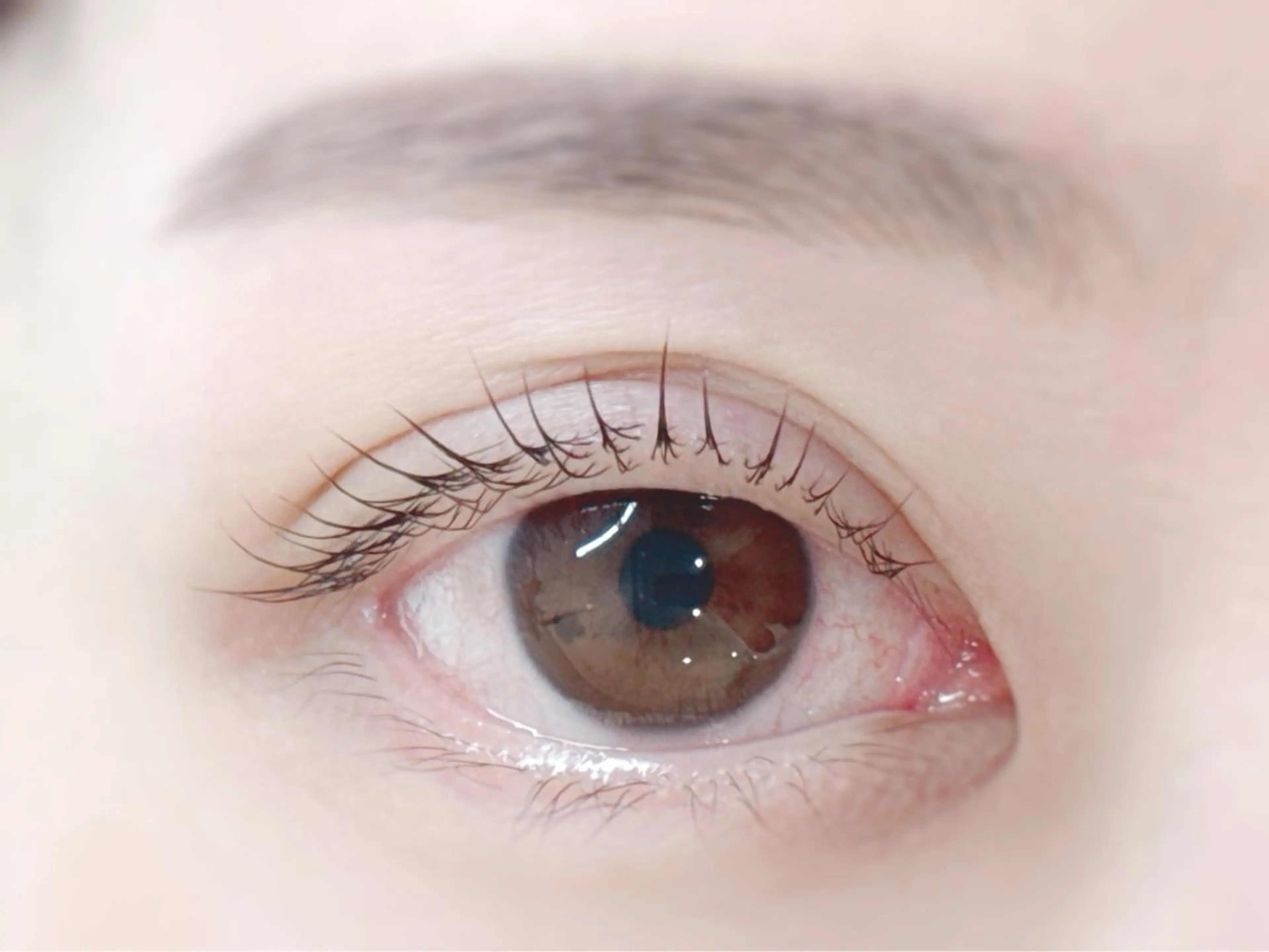 💖うるツヤ目元セット🪞✨（眉Wax＋まつぱ）💓の写真