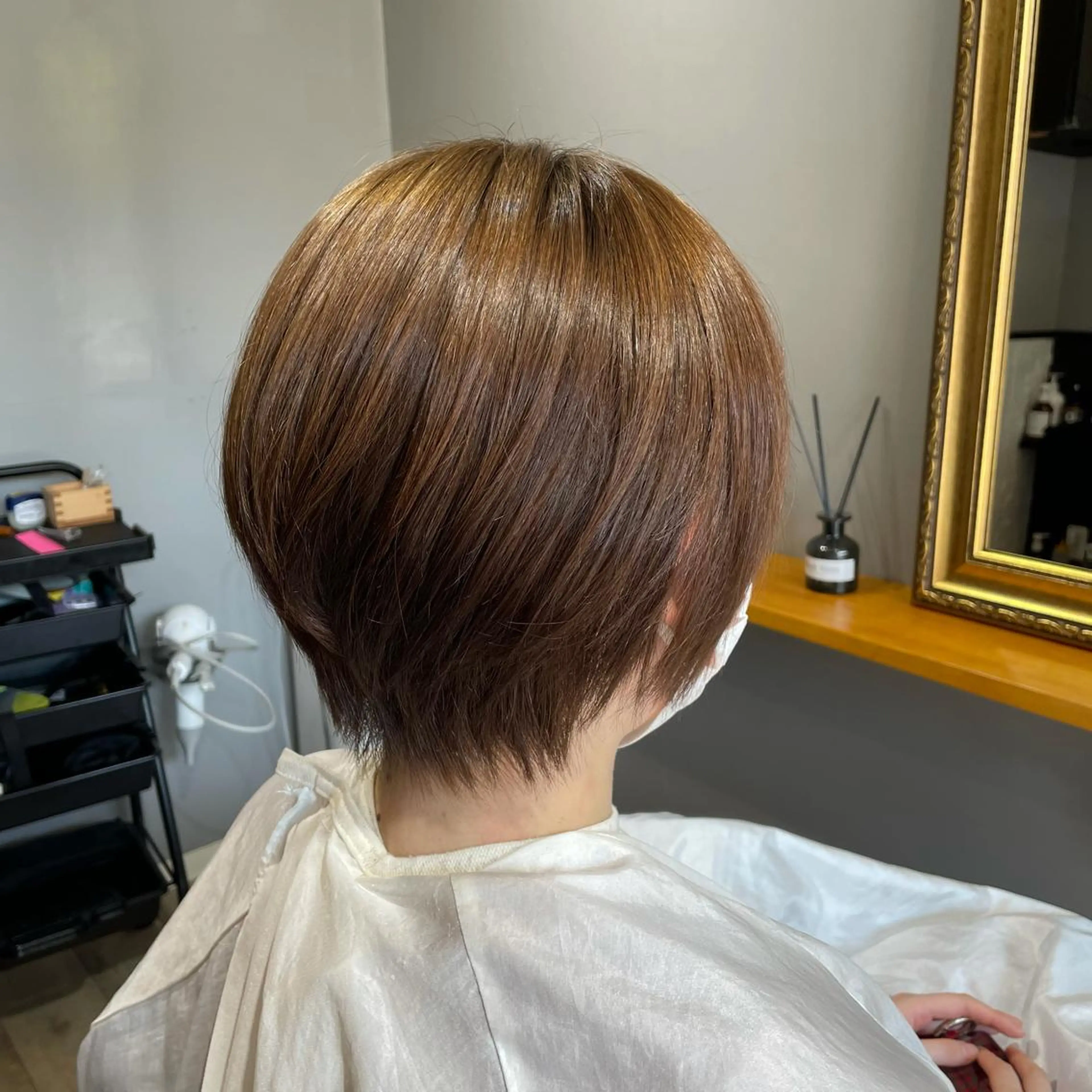 ショート 渡辺俊介 暗髪カラー /美髪矯正/髪質改善のヘアスタイル