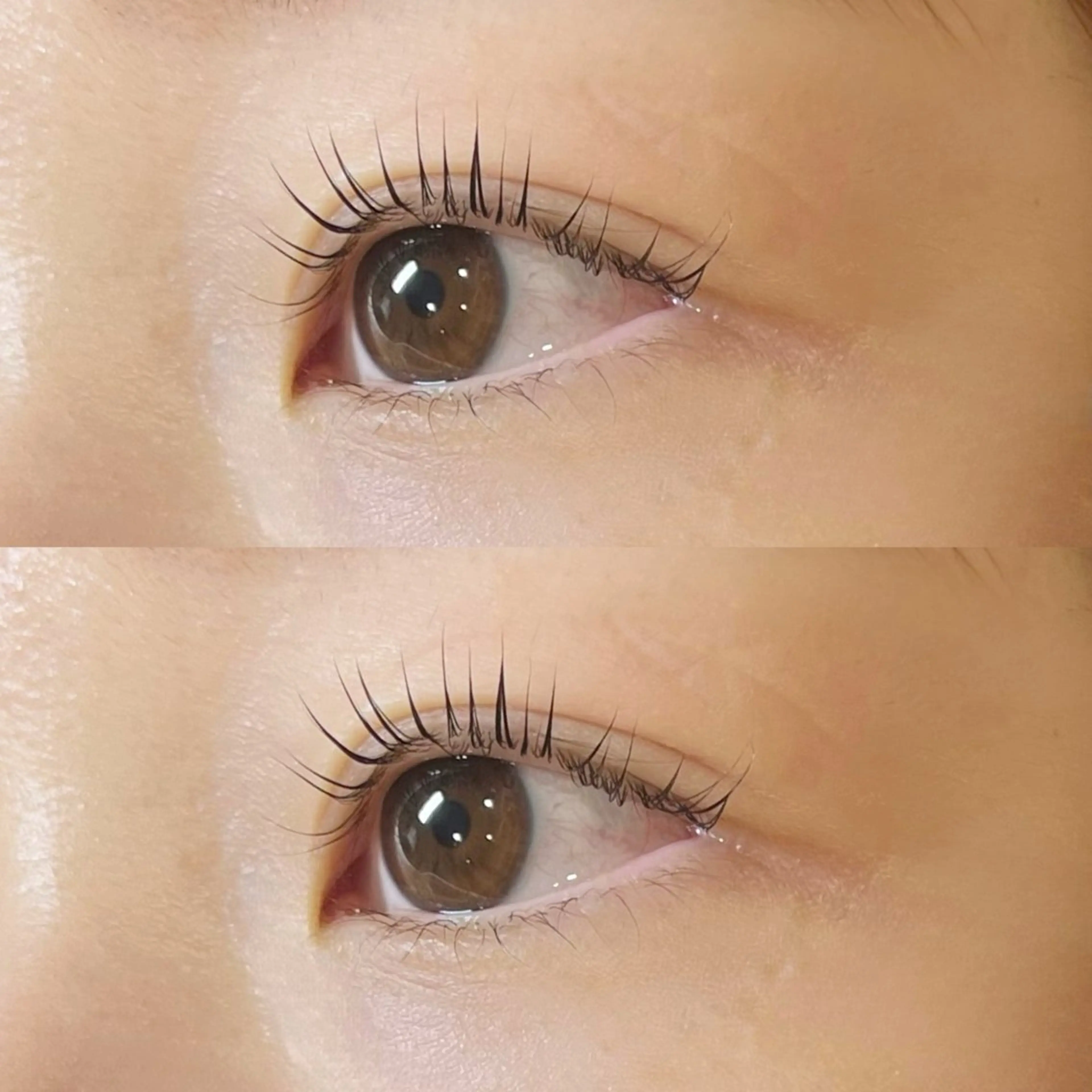 まつ毛パーマ 【トリートメント付き】ラッシュリフトの写真