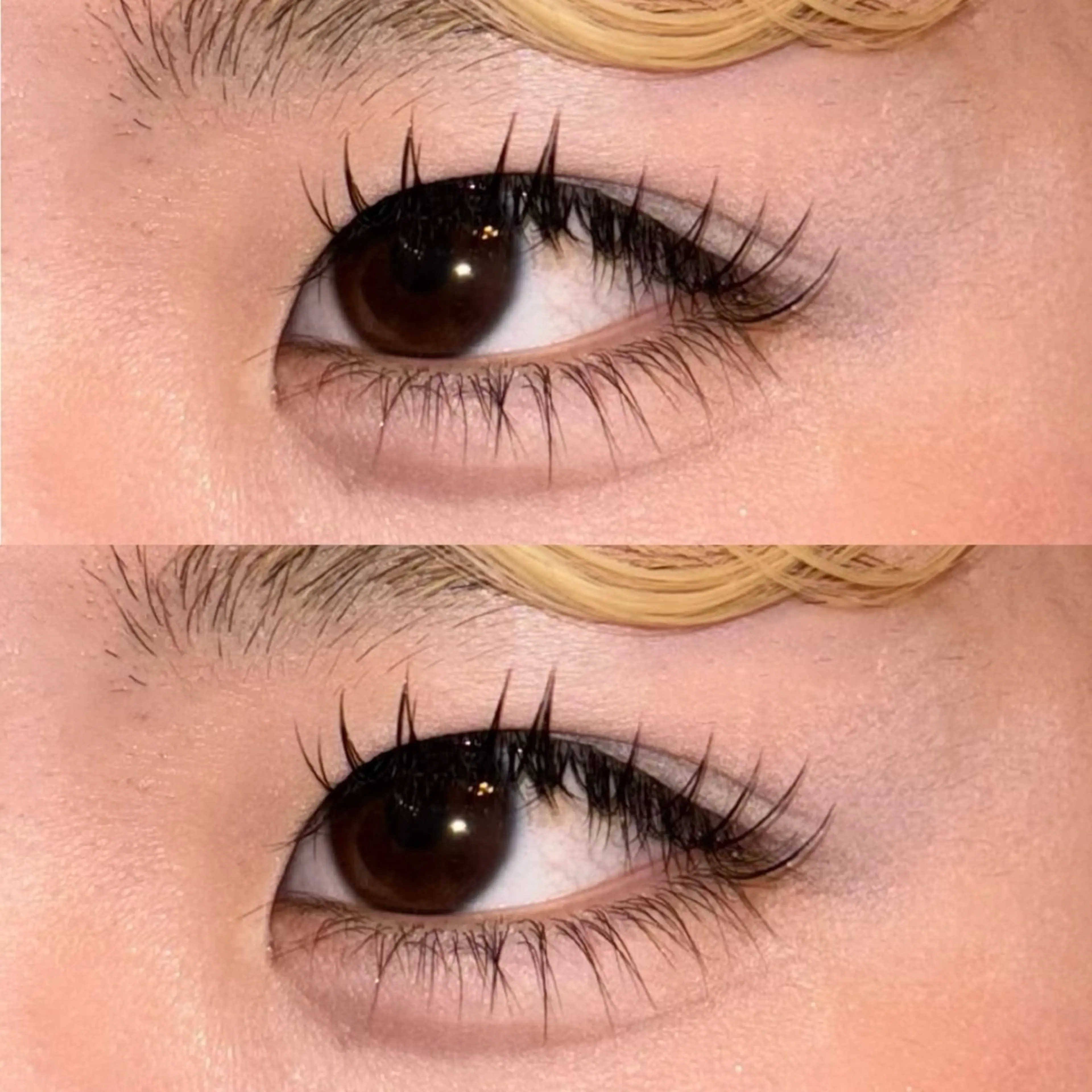 ❤️‍🔥ダメージ軽減❤️‍🔥【フラットラッシュ　100本】の写真