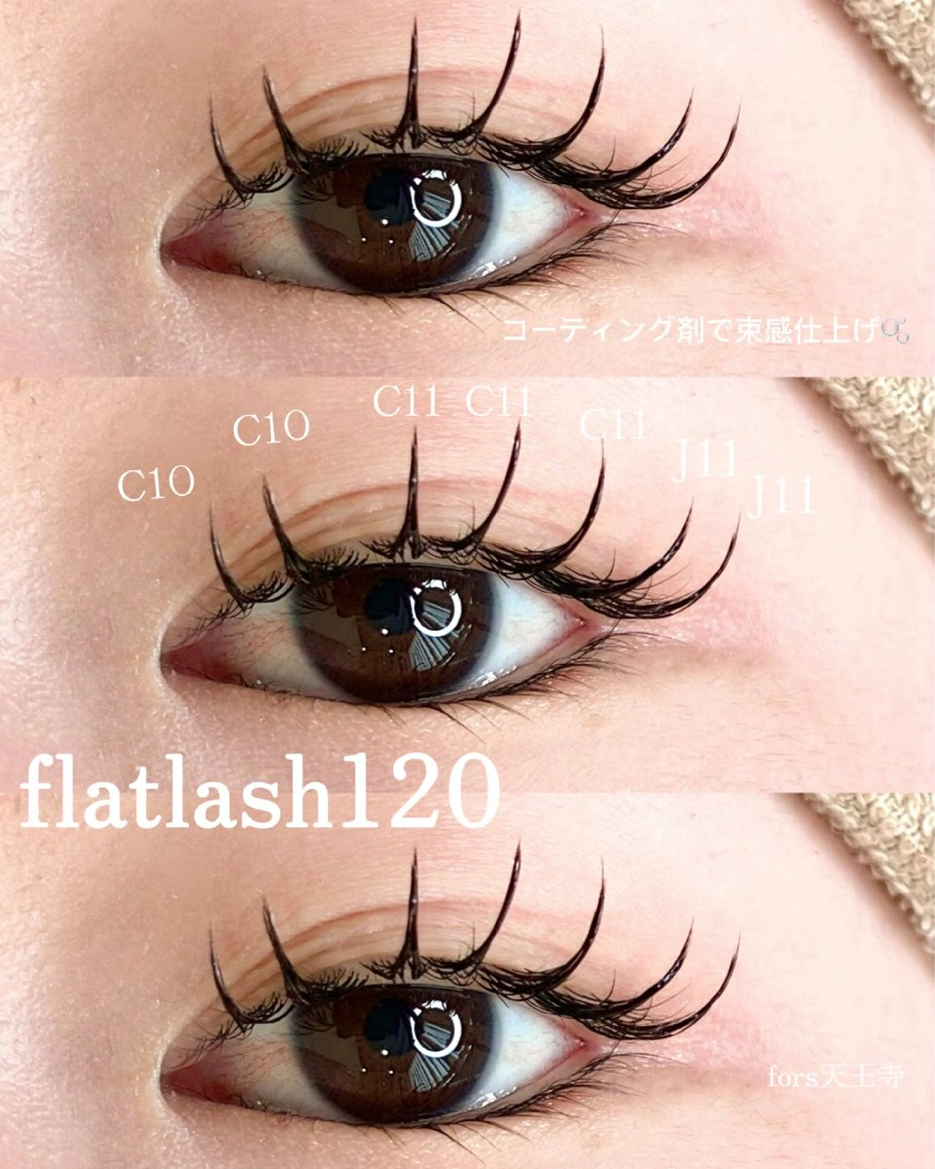 フラットラッシュ120本の写真