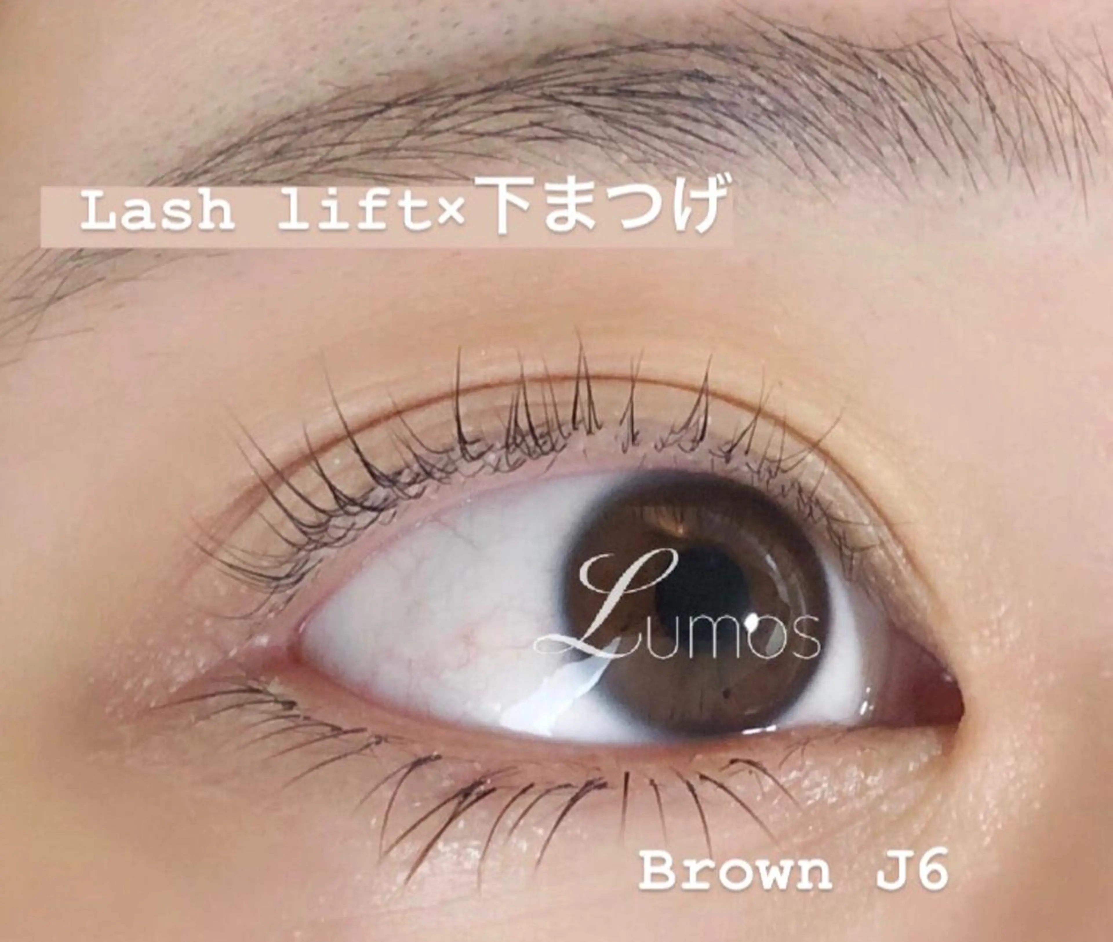 マツエク・マツパ 下まつげエクステ マツパ Lumos nail&eyelash所属・Lumos Ayakaのマツエク・マツパデザイン