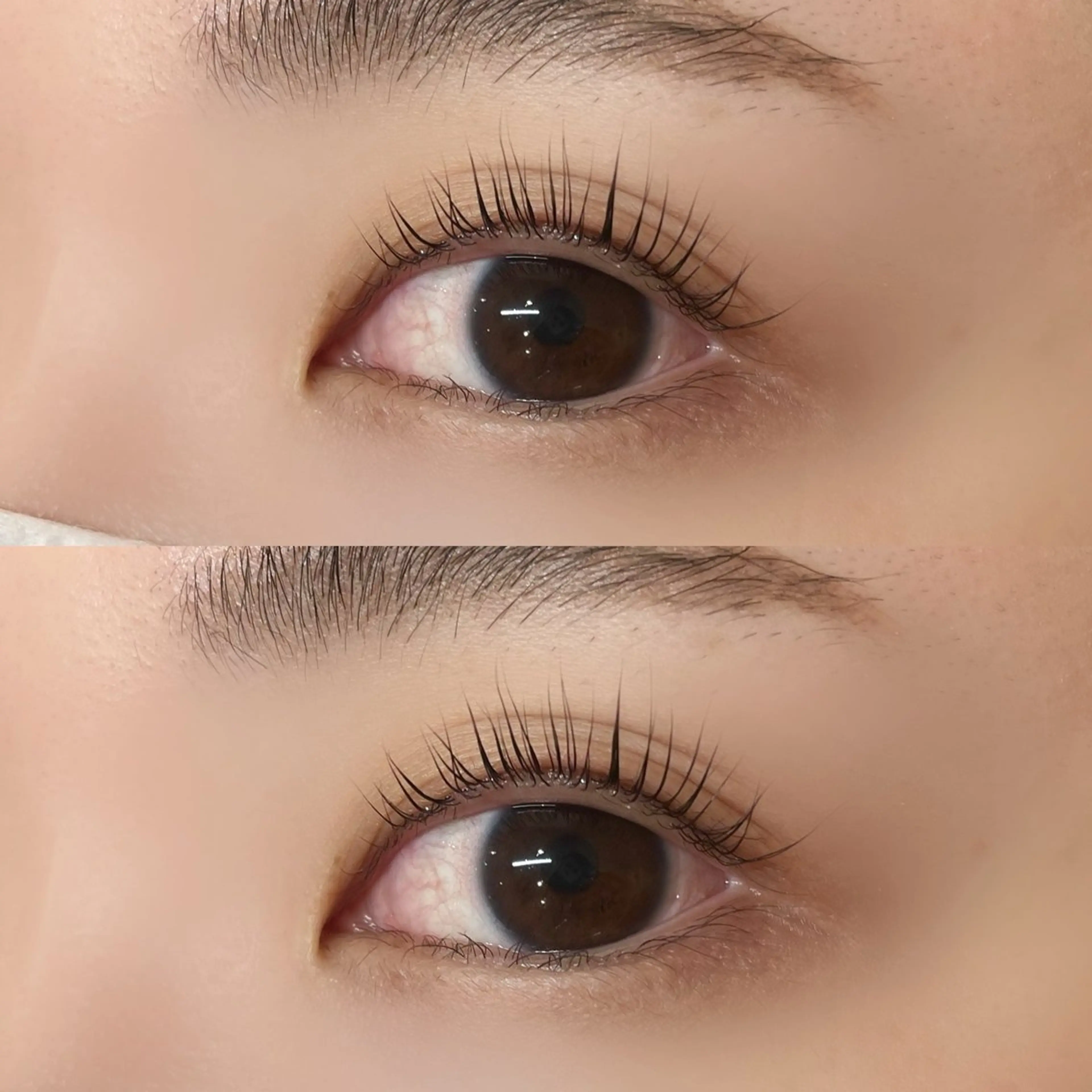 【再来】パリジェンヌラッシュリフトの写真