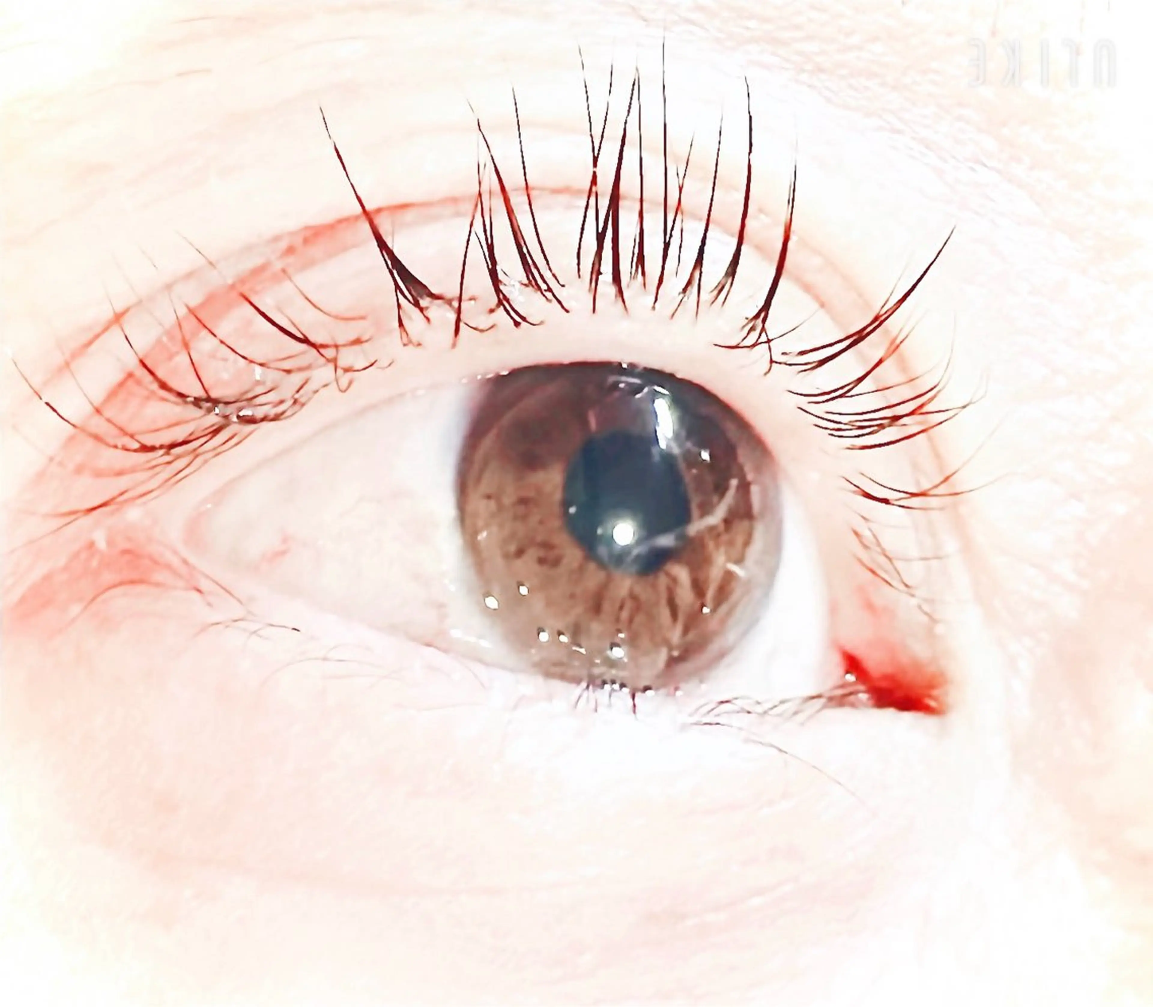 マツエク・マツパ クルス マリアのマツエク・マツパデザイン