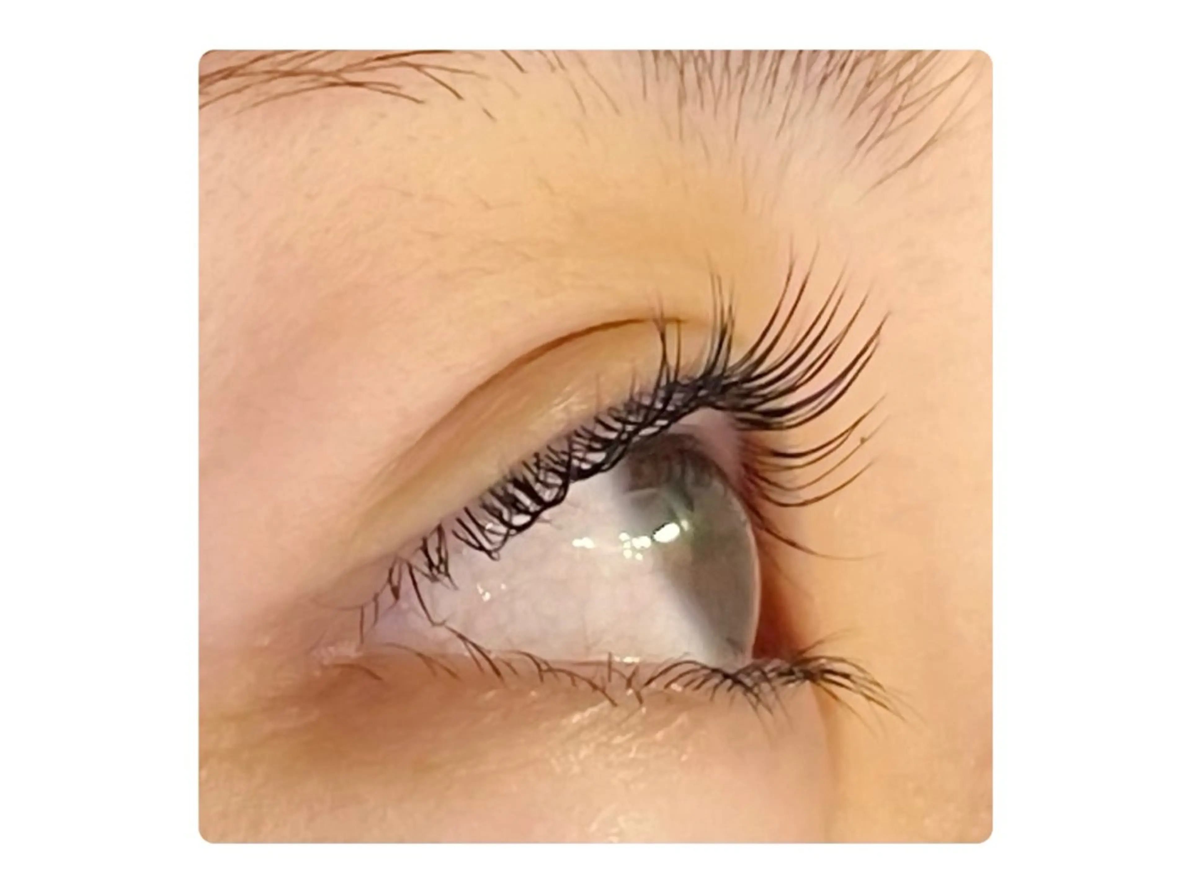 マツエク・マツパ ESUGA AYUのマツエク・マツパデザイン