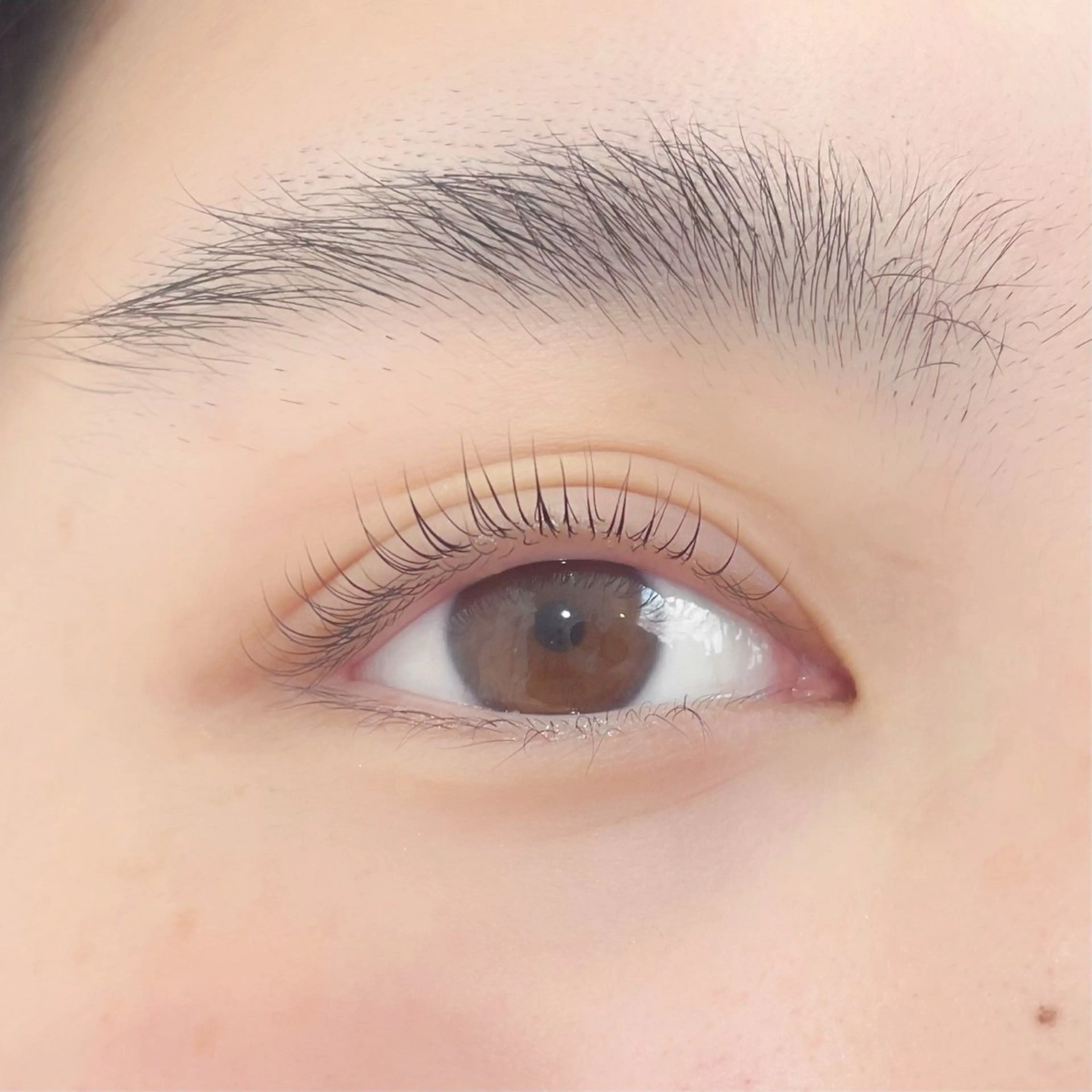 🌻☁️パリジェンヌ☁️🌻の写真