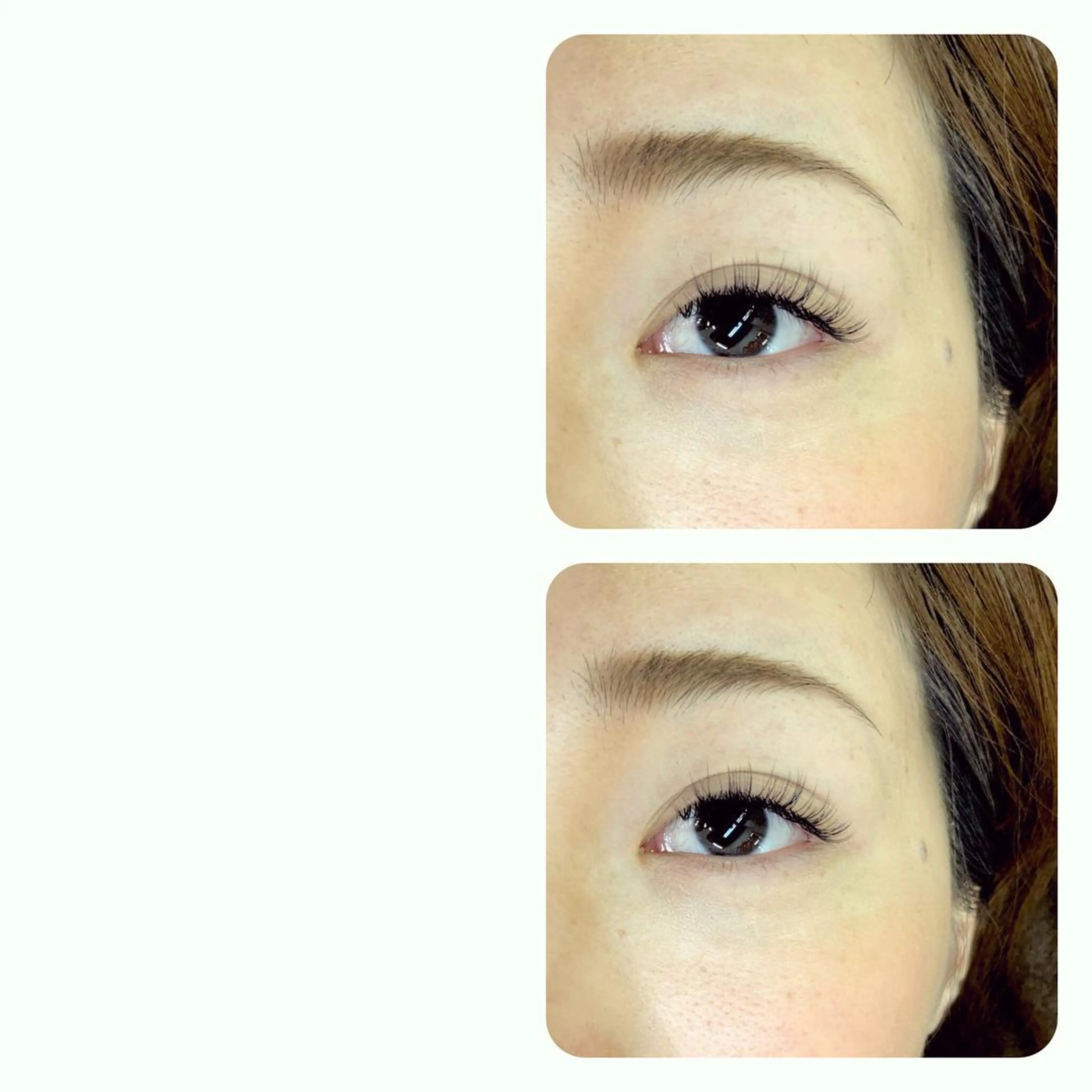 マツエク・マツパ Total beauty La Fleur所属・ikeda midoriのマツエク・マツパデザイン