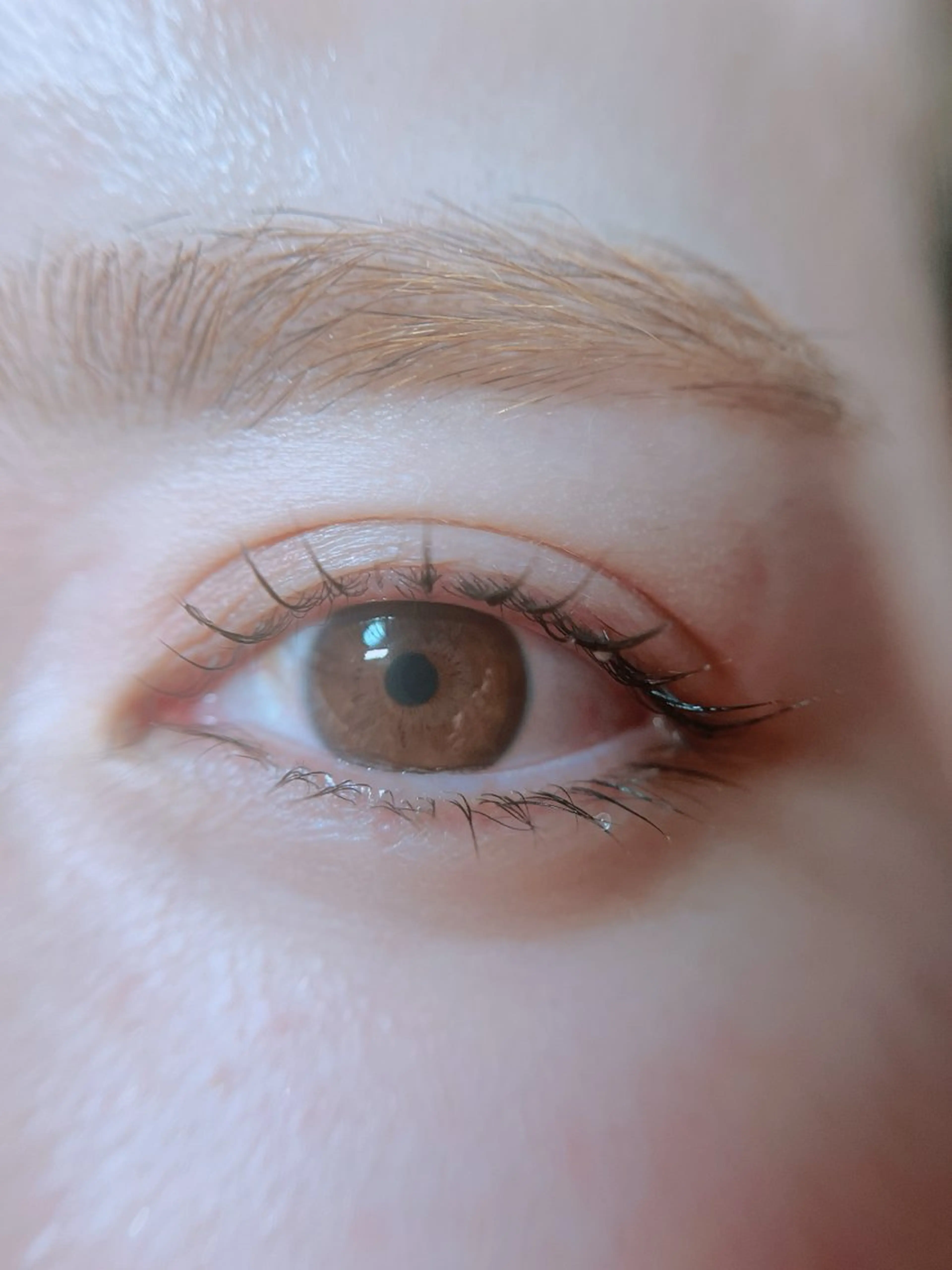 マツエク・マツパ 目黒　フリヴィ 🤎HIROMIのマツエク・マツパデザイン