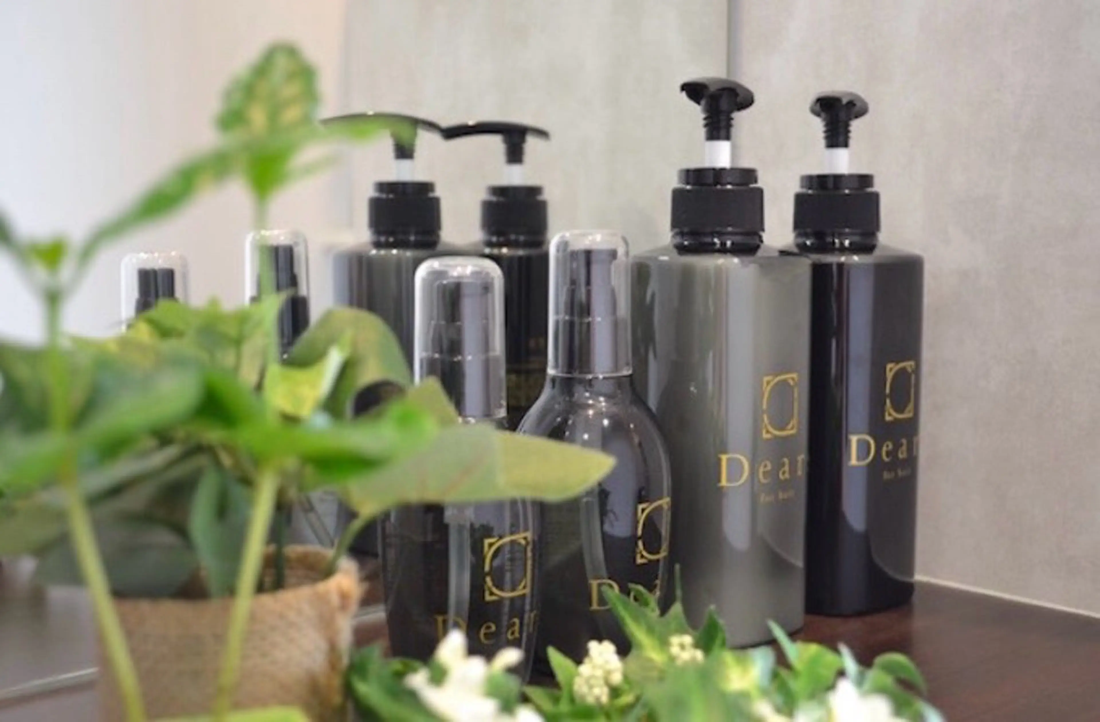 DEARS徳島店所属・髪質改善Dears 藤井のヘアスタイル