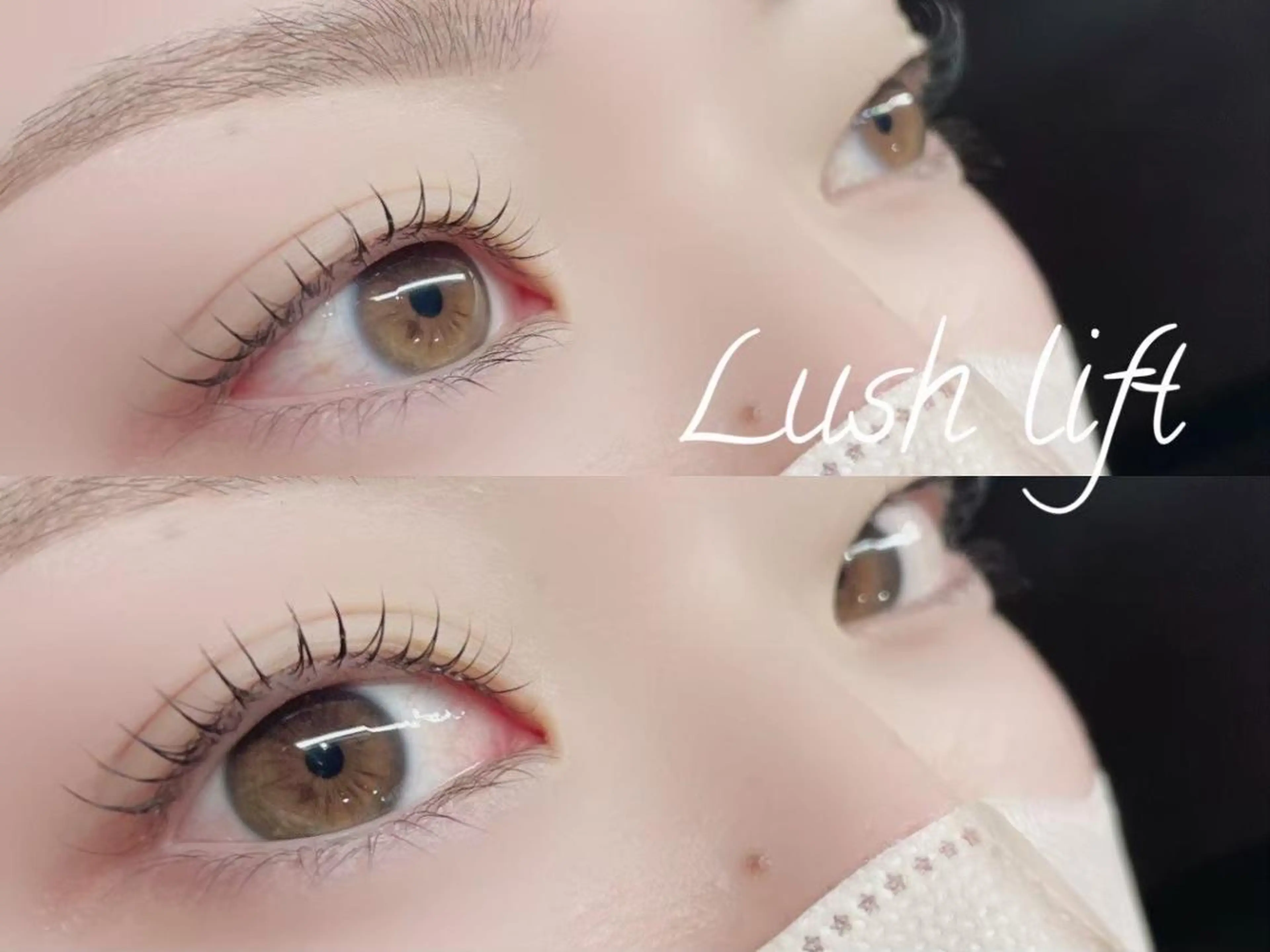 ご新規様限定♡韓国で話題🇰🇷マスカラパーマ🐈⬛【ブラックティントパリジェンヌラッシュリフト&トリートメント】の写真