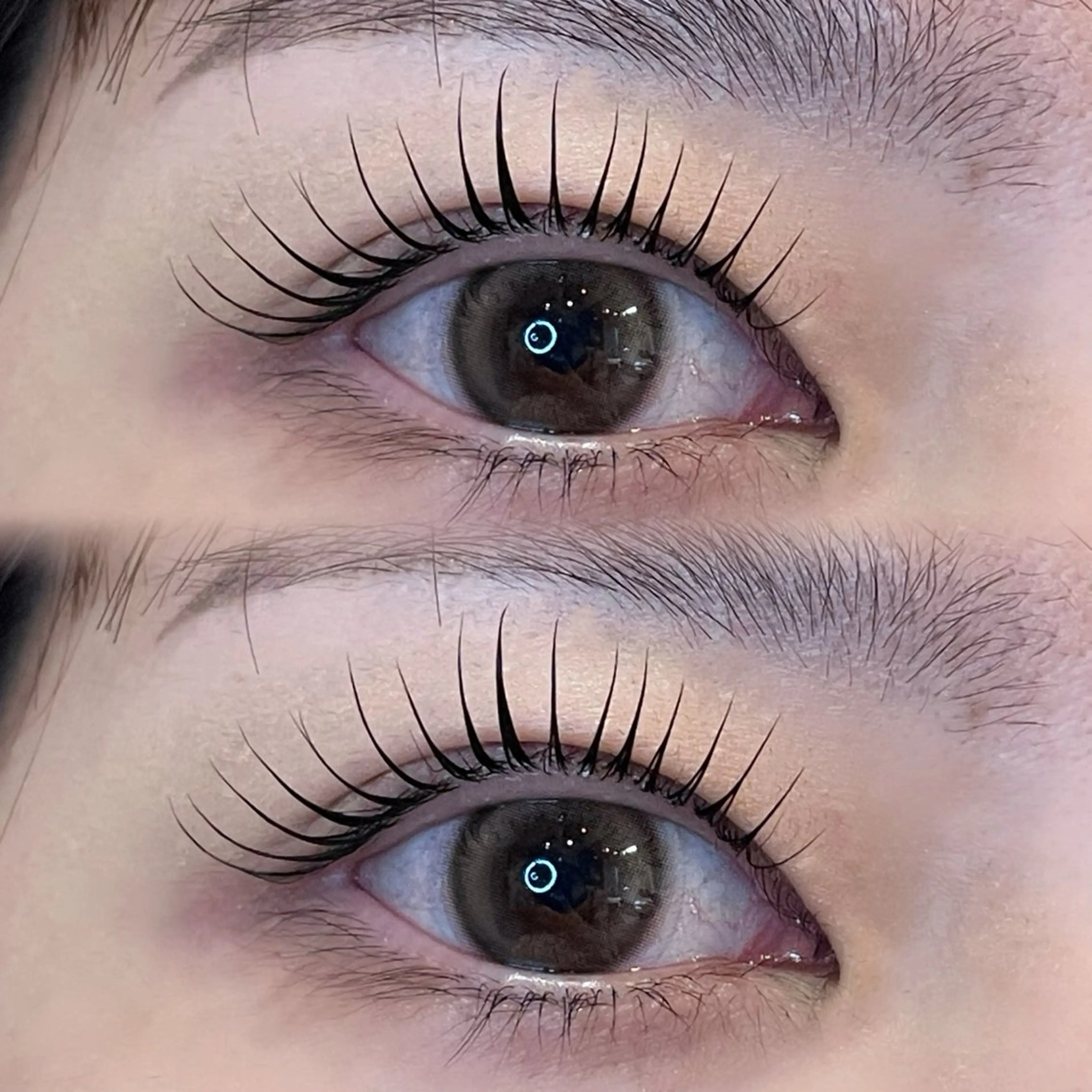 マツエク・マツパ SSINSTUDIO研修センター中目黒店所属・yuri ︎✦︎︎︎.。のマツエク・マツパデザイン