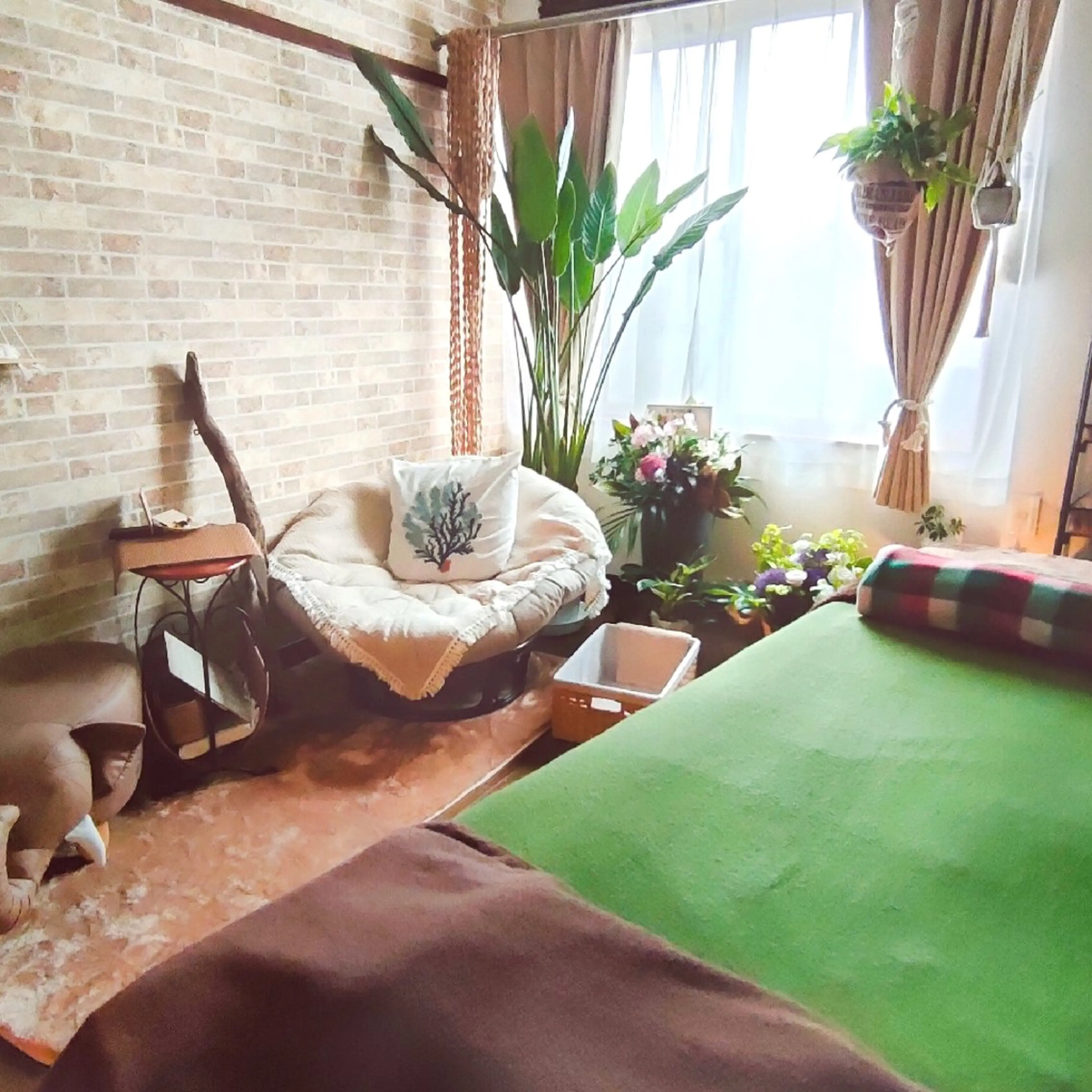 整体coral所属・ヘッドスパ 整体coral🪸のエステ・リラクイメージ