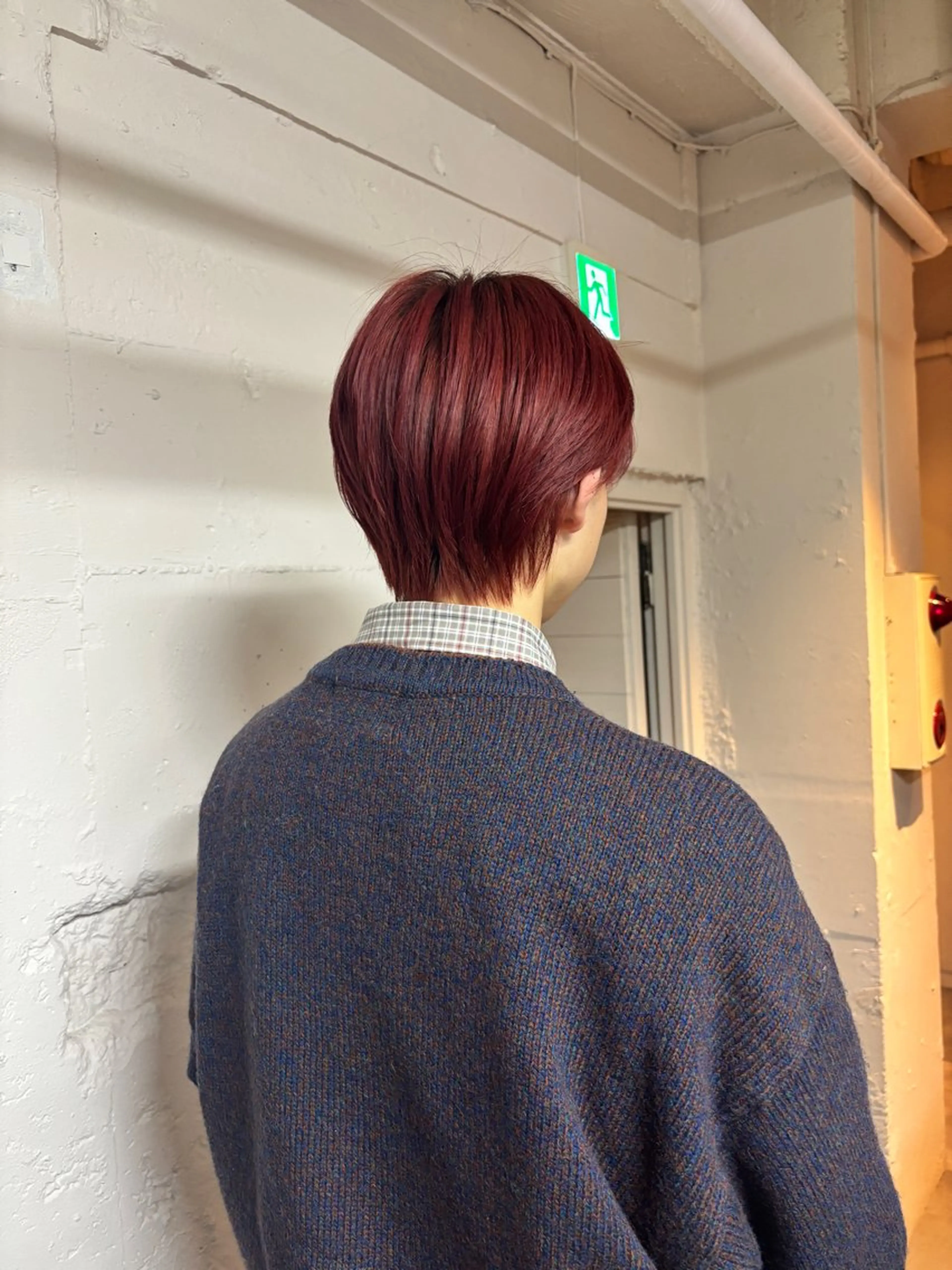 ショート カラー 🩵似合わせカット SEIRA🩵のヘアスタイル