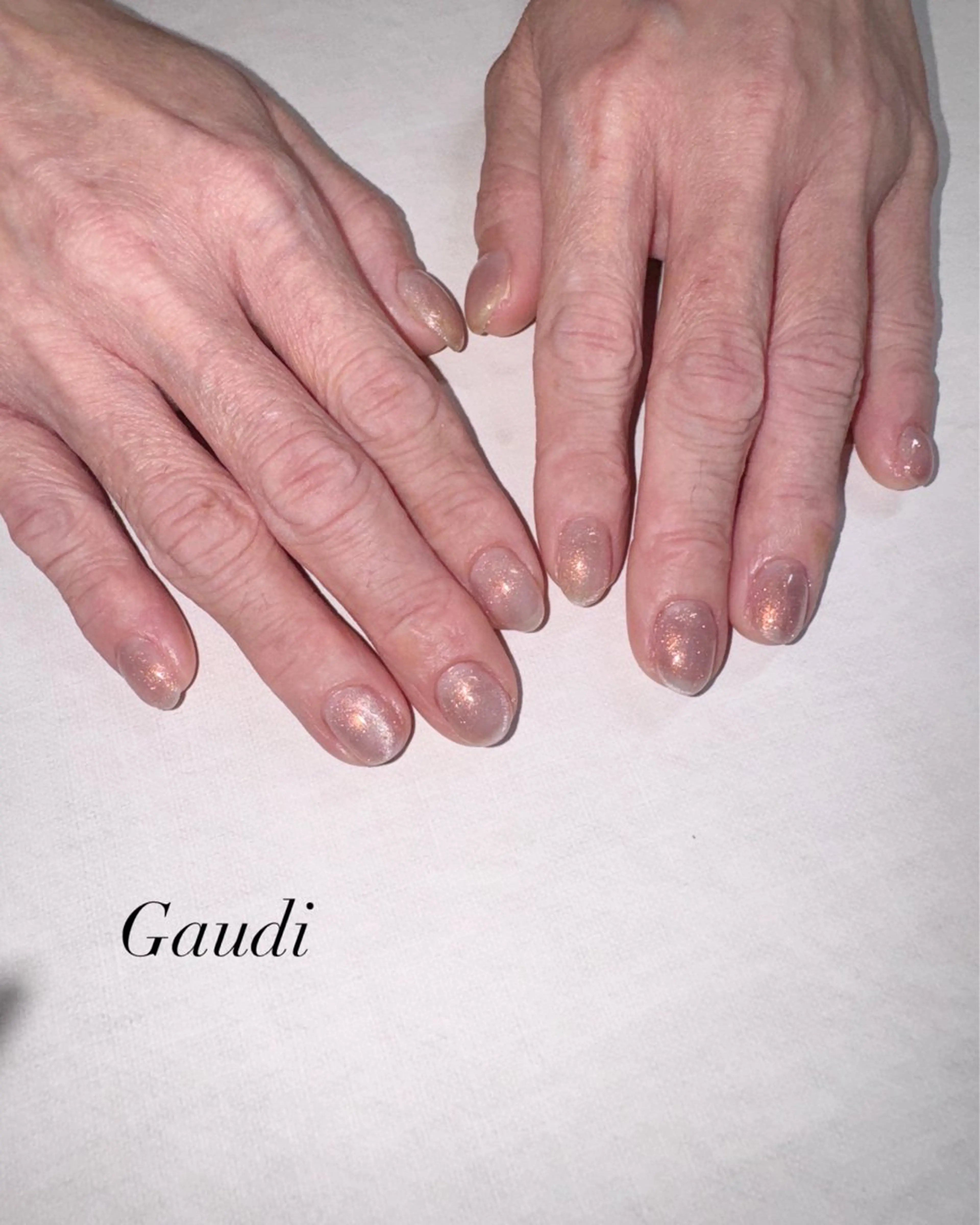 ネイル マグネットネイル Gaudi.Nail Rinaのその他イメージ