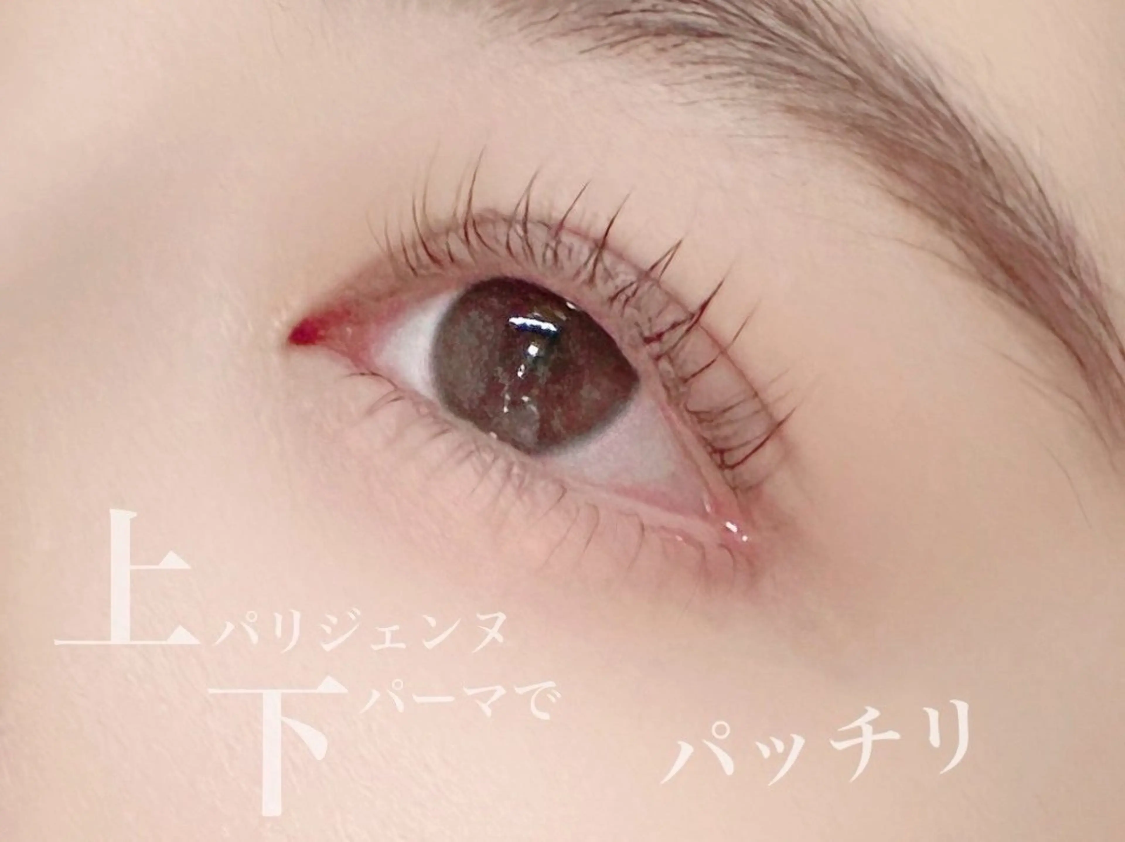 マツエク・マツパ Richelle所属・泉 樹理のマツエク・マツパデザイン