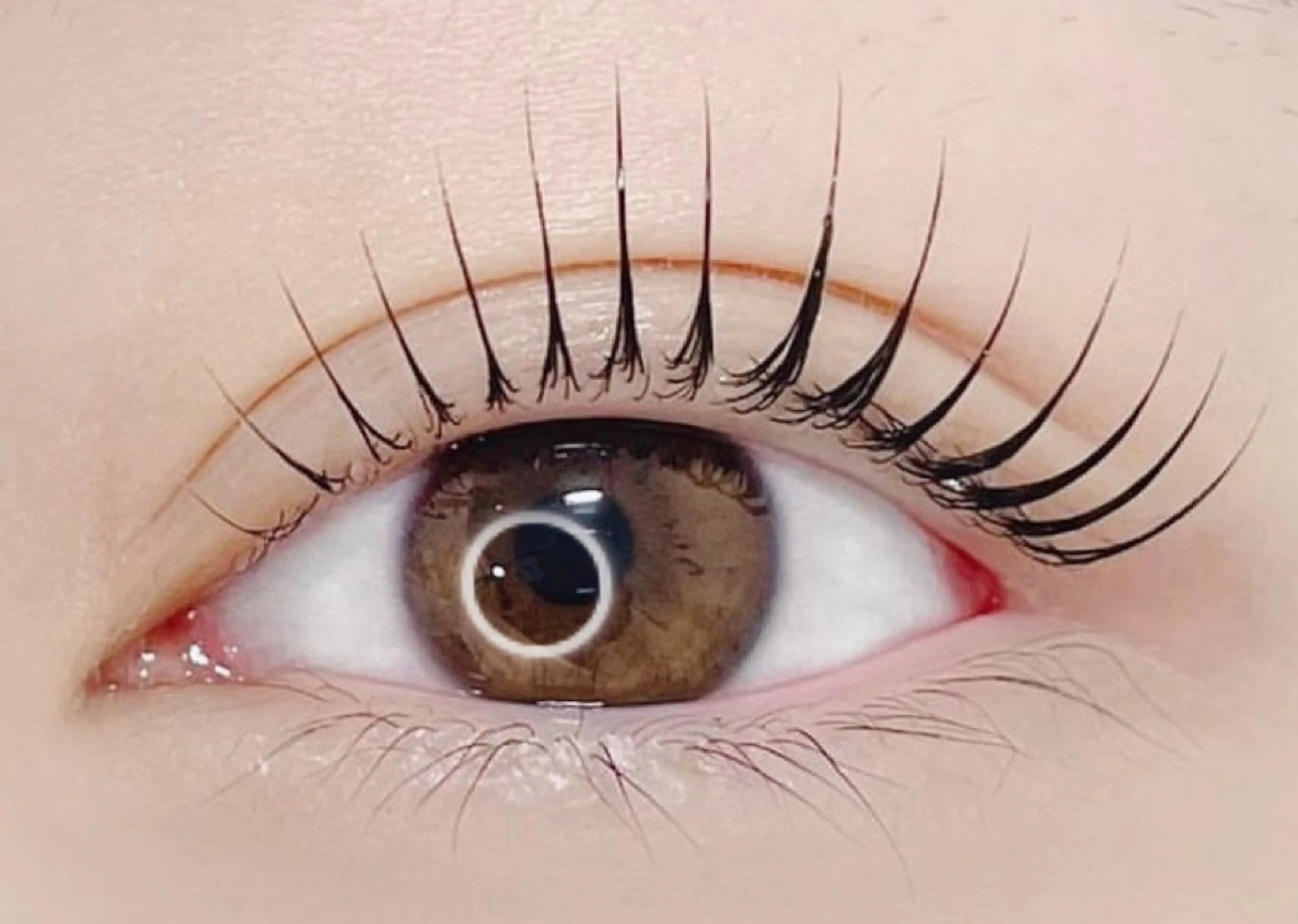 マツエク・マツパ YUKA 🐩🎀のマツエク・マツパデザイン