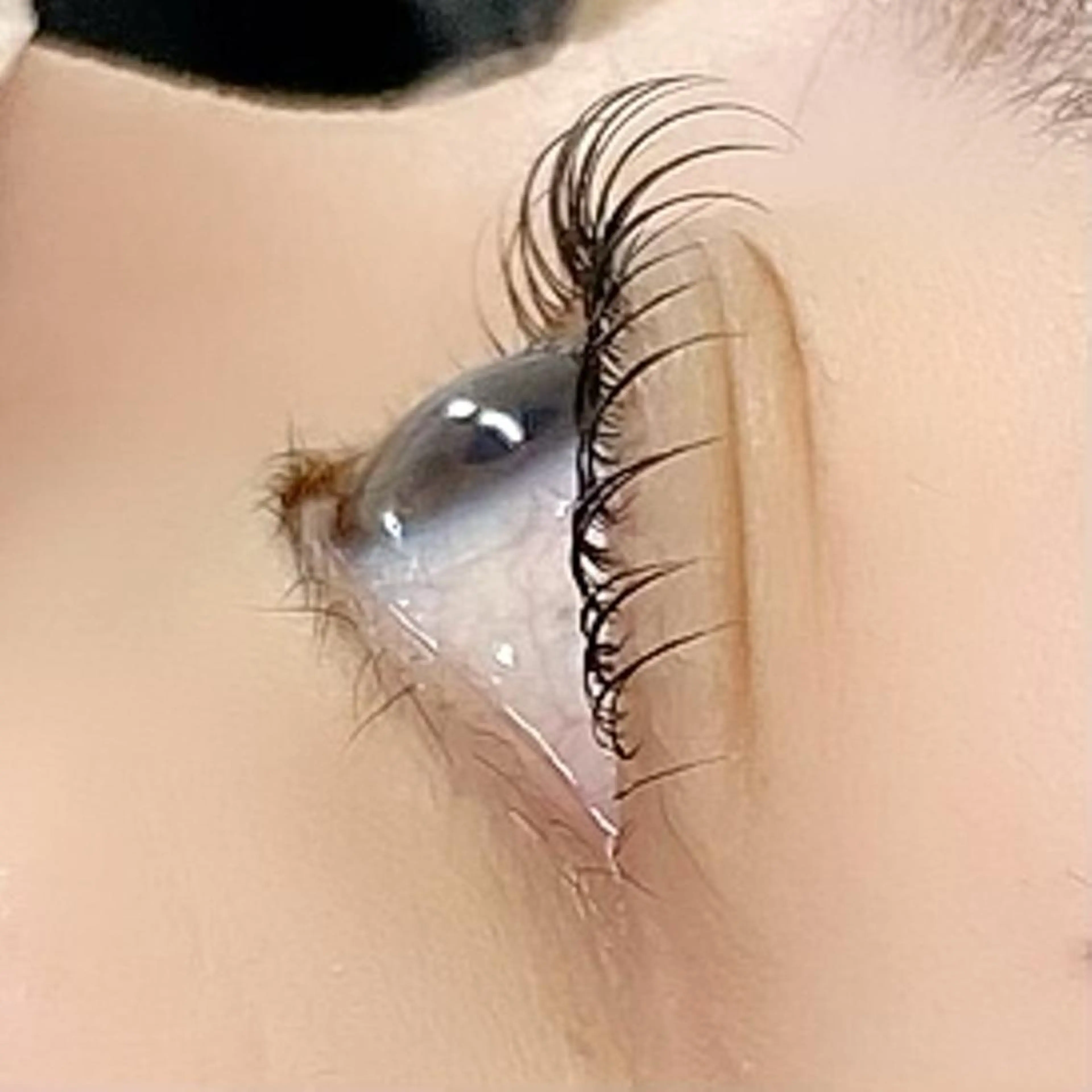 🩵‪ご新規様限定🩵‪【次世代まつげパーマ】ラッシュカール ¥ 2980 オフ別の写真