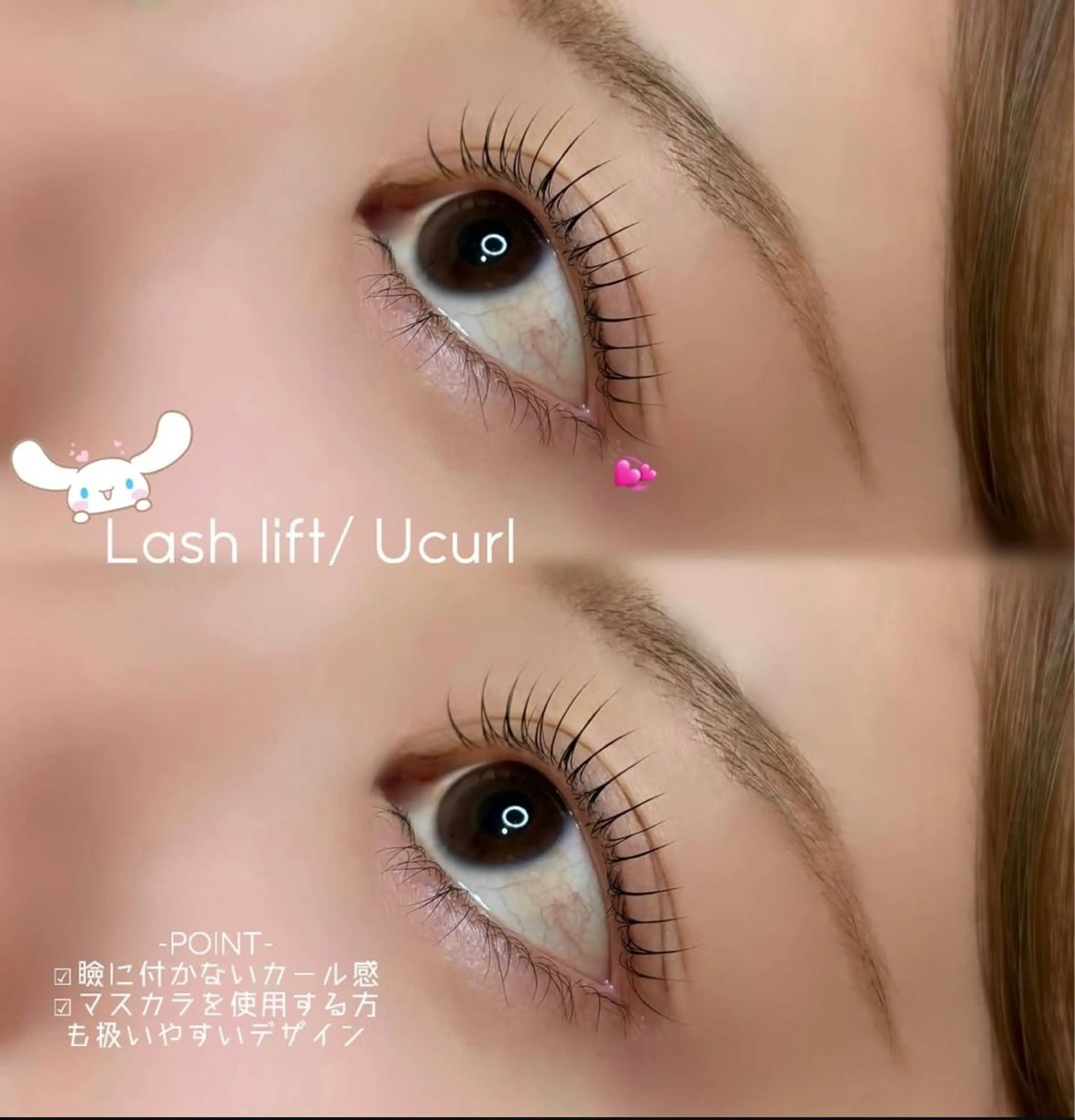 【リクエスト予約のみ】ラッシュリフト🎀の写真