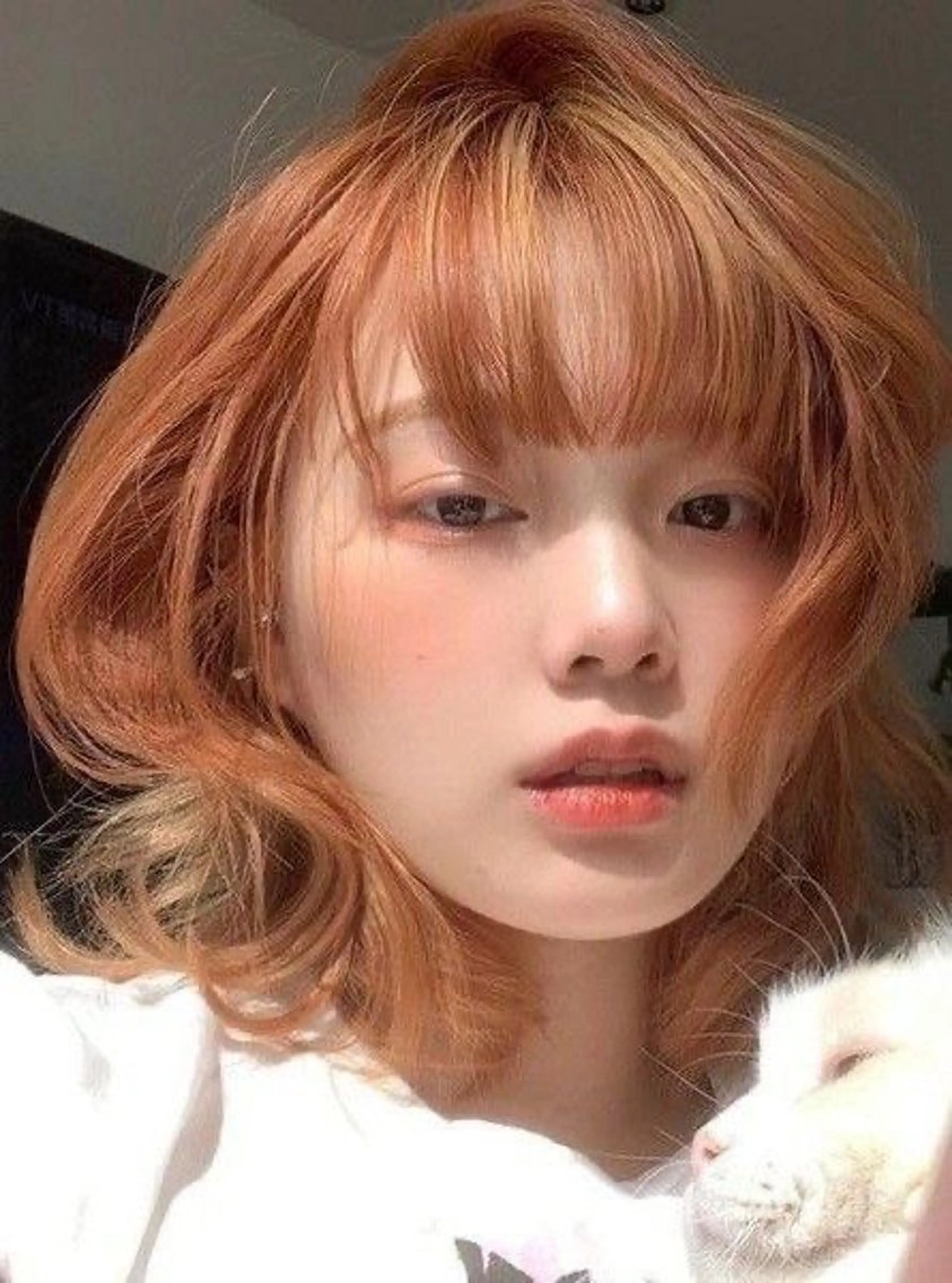 カラー 海外レイヤー/ パーマ‪/表参道のヘアスタイル