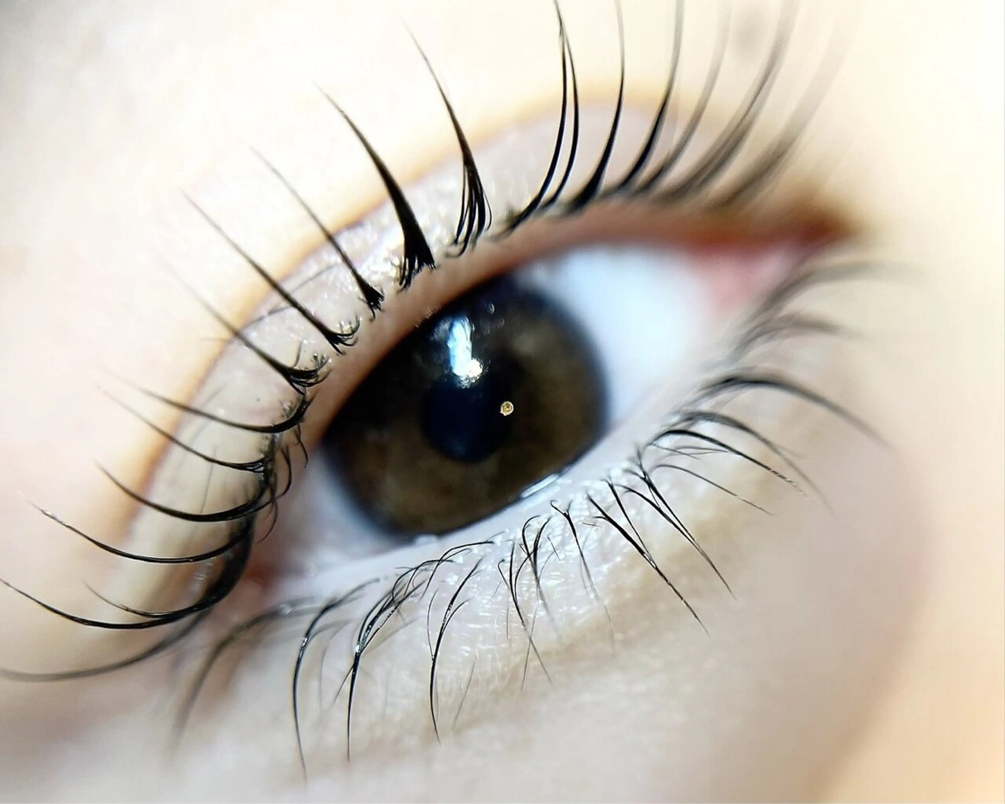 上下！パリジェンヌorまつ毛パーマの写真