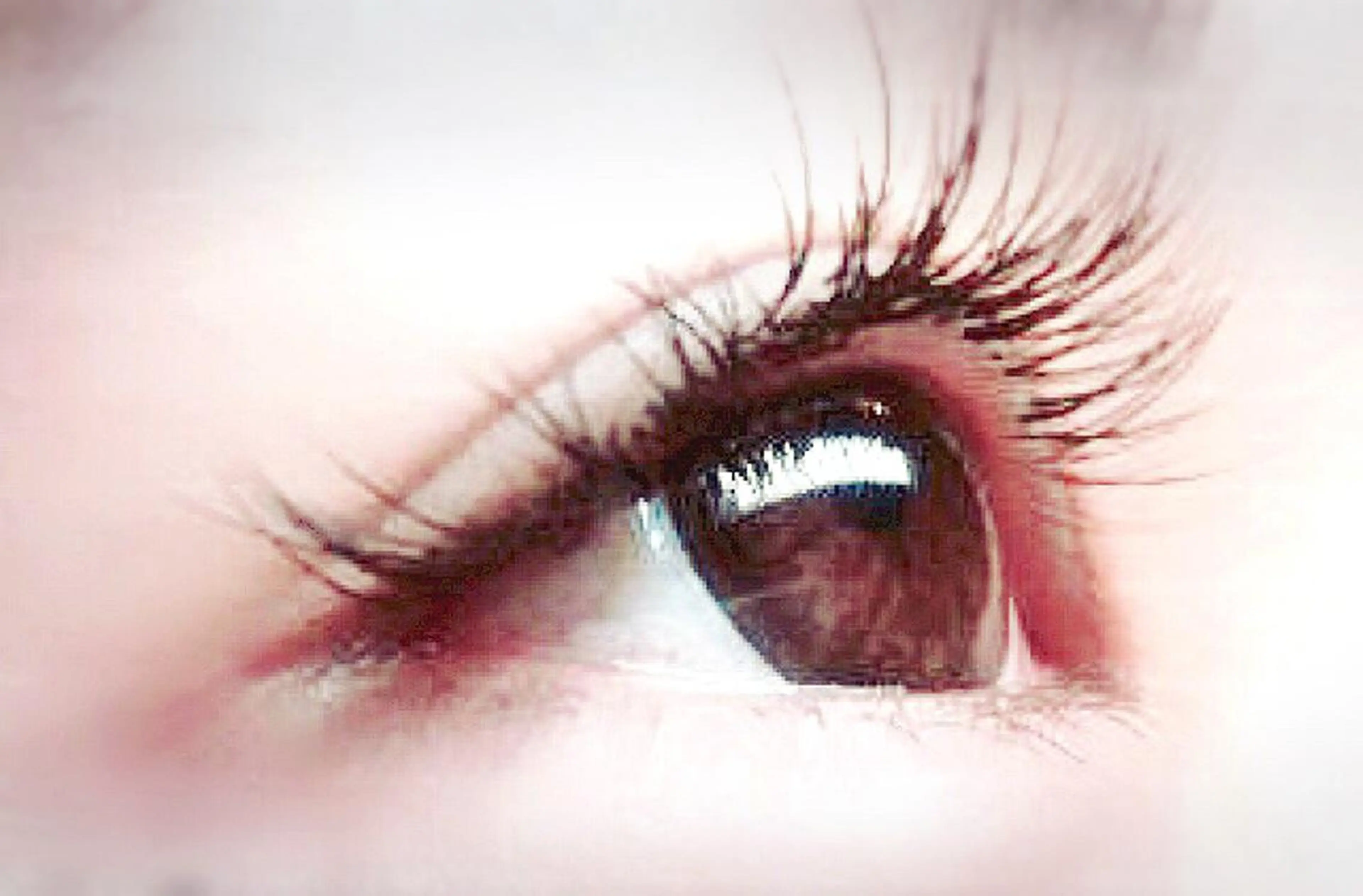 マツエク・マツパ セーブル Orange  Camelのマツエク・マツパデザイン