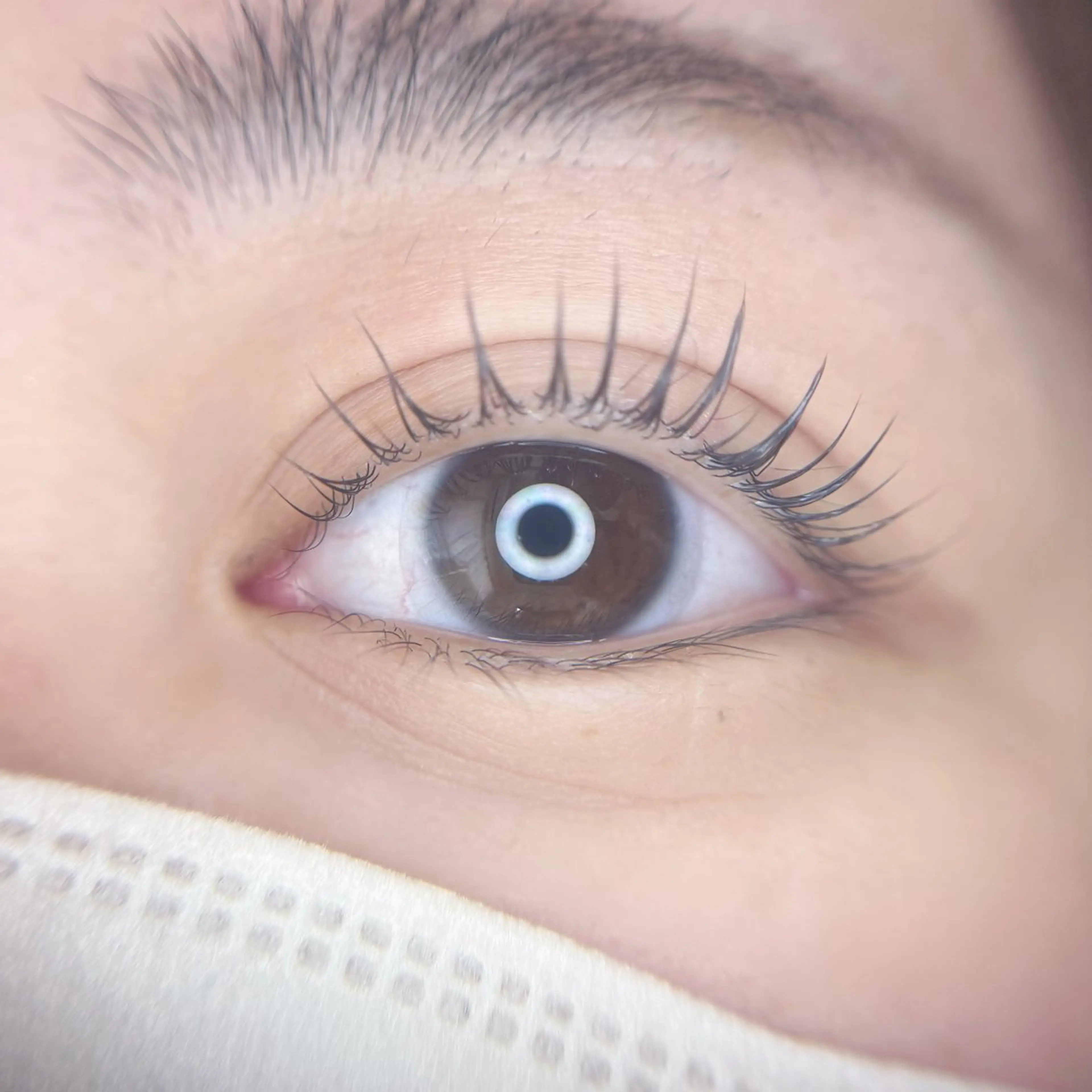 🐬新規限定《ケラチンラッシュリフト》💙アイシャンプー付🫧の写真