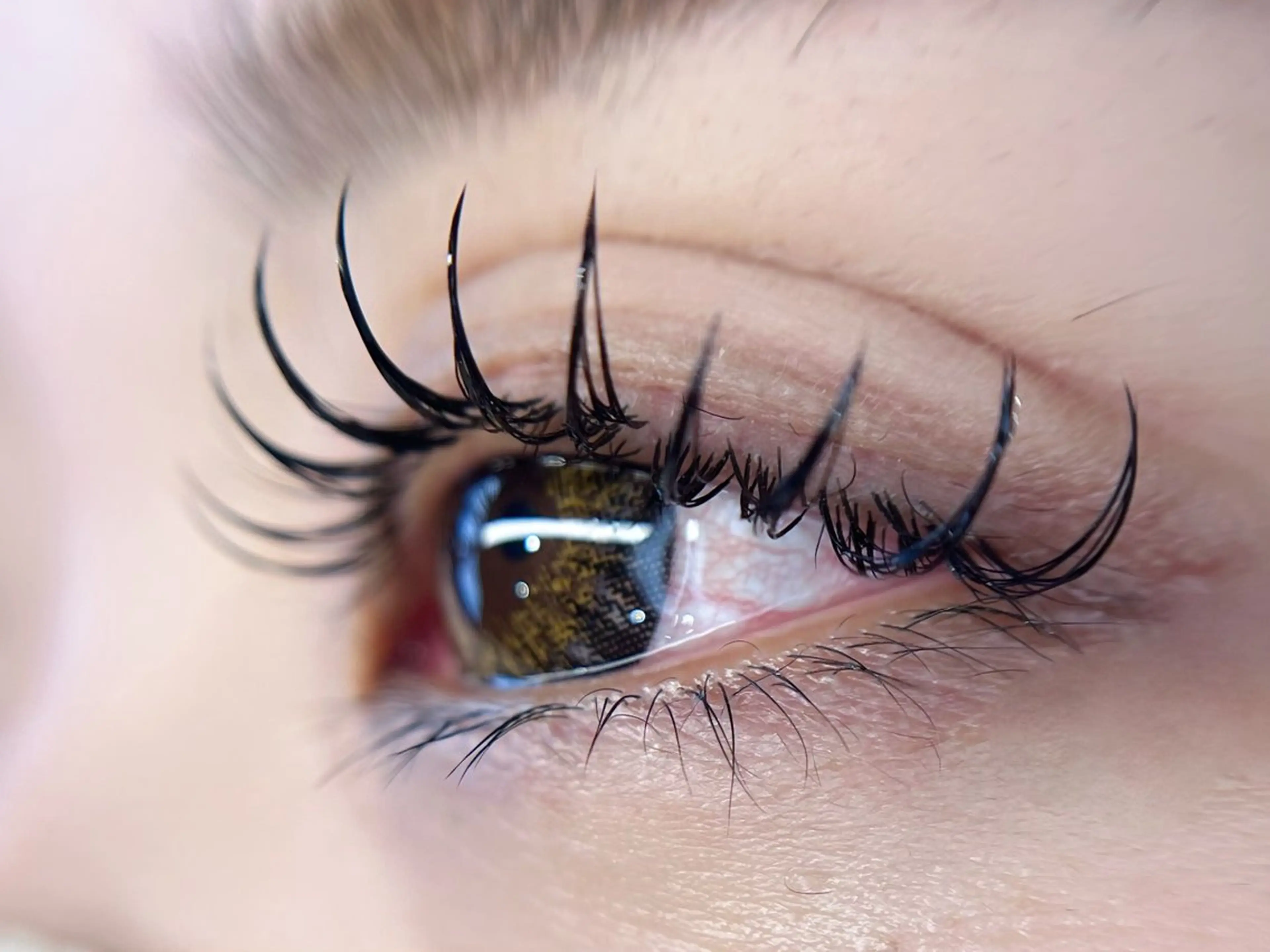 マツエク・マツパ マツエク Lau【ラウ】所属・Lau【ラウ】 ⁂NaNaのマツエク・マツパデザイン