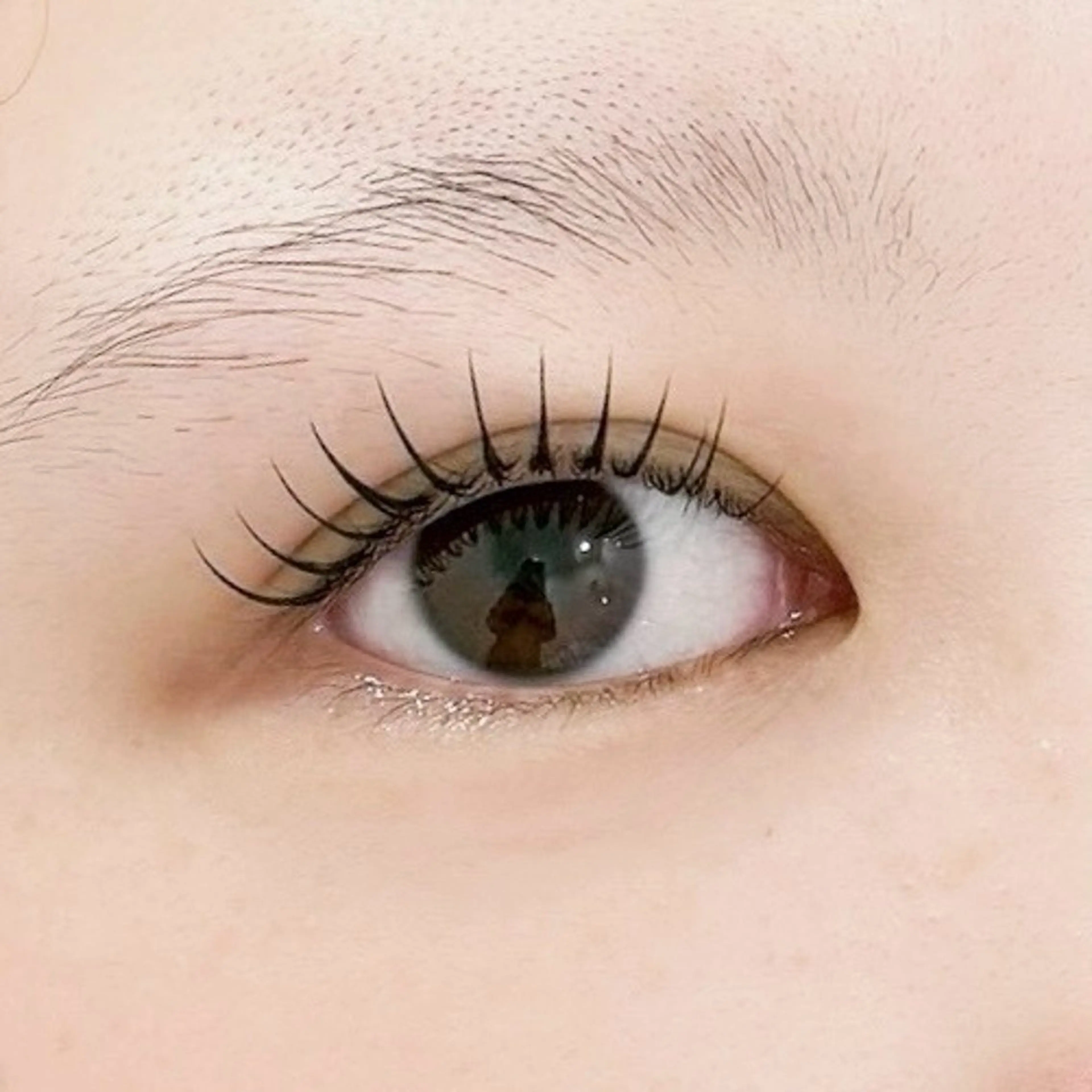 マツエク・マツパ マツパ 🫧韓国風束感まつ毛 /あかね/美眉🫧のマツエク・マツパデザイン