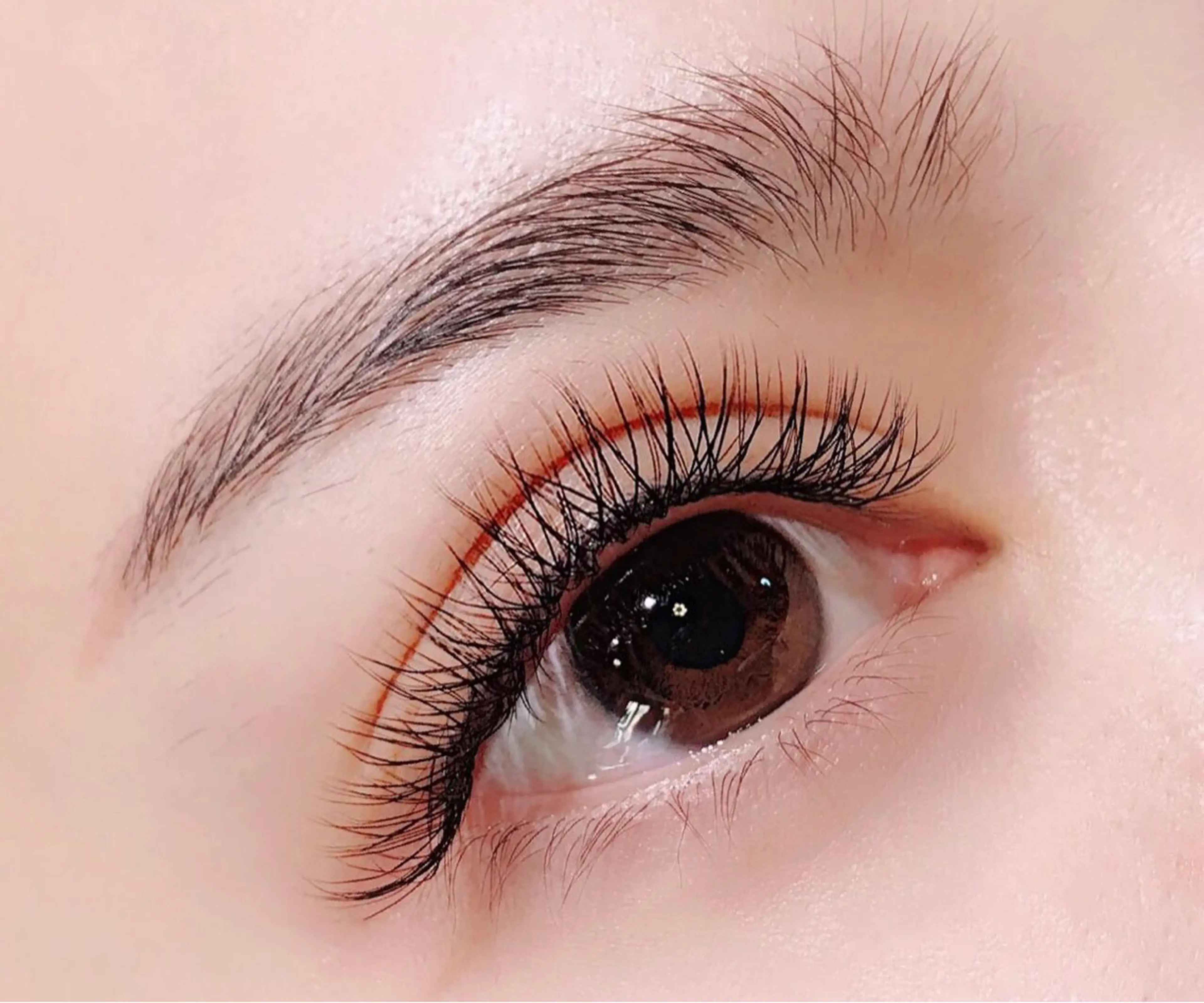 💕Ｙ型ラッシュ💕60束4000・80束5000 (ブラウン➕550円)の写真