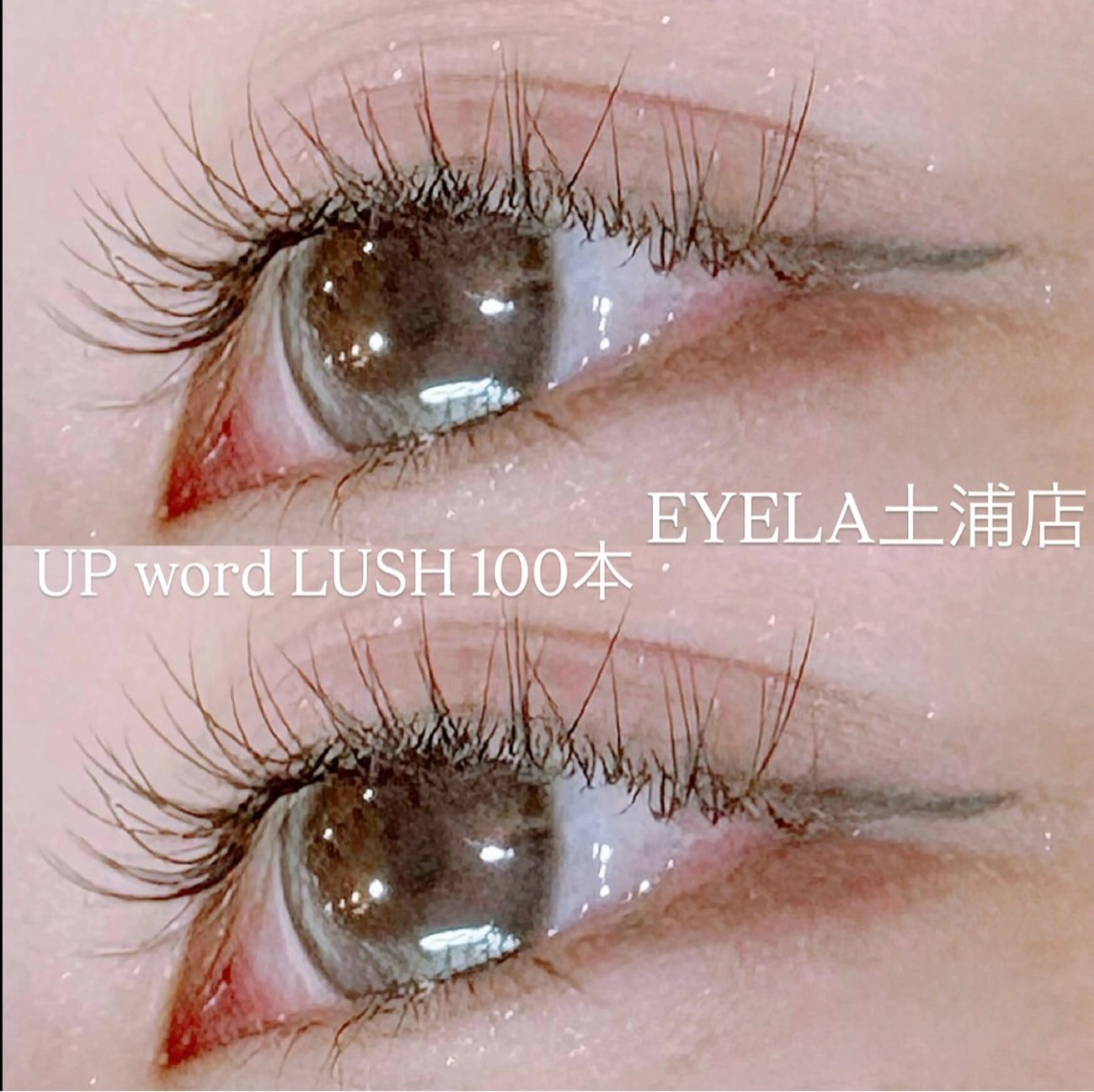マツエク・マツパ アップワードラッシュ マツエク EYELA 土浦店 幕内のマツエク・マツパデザイン