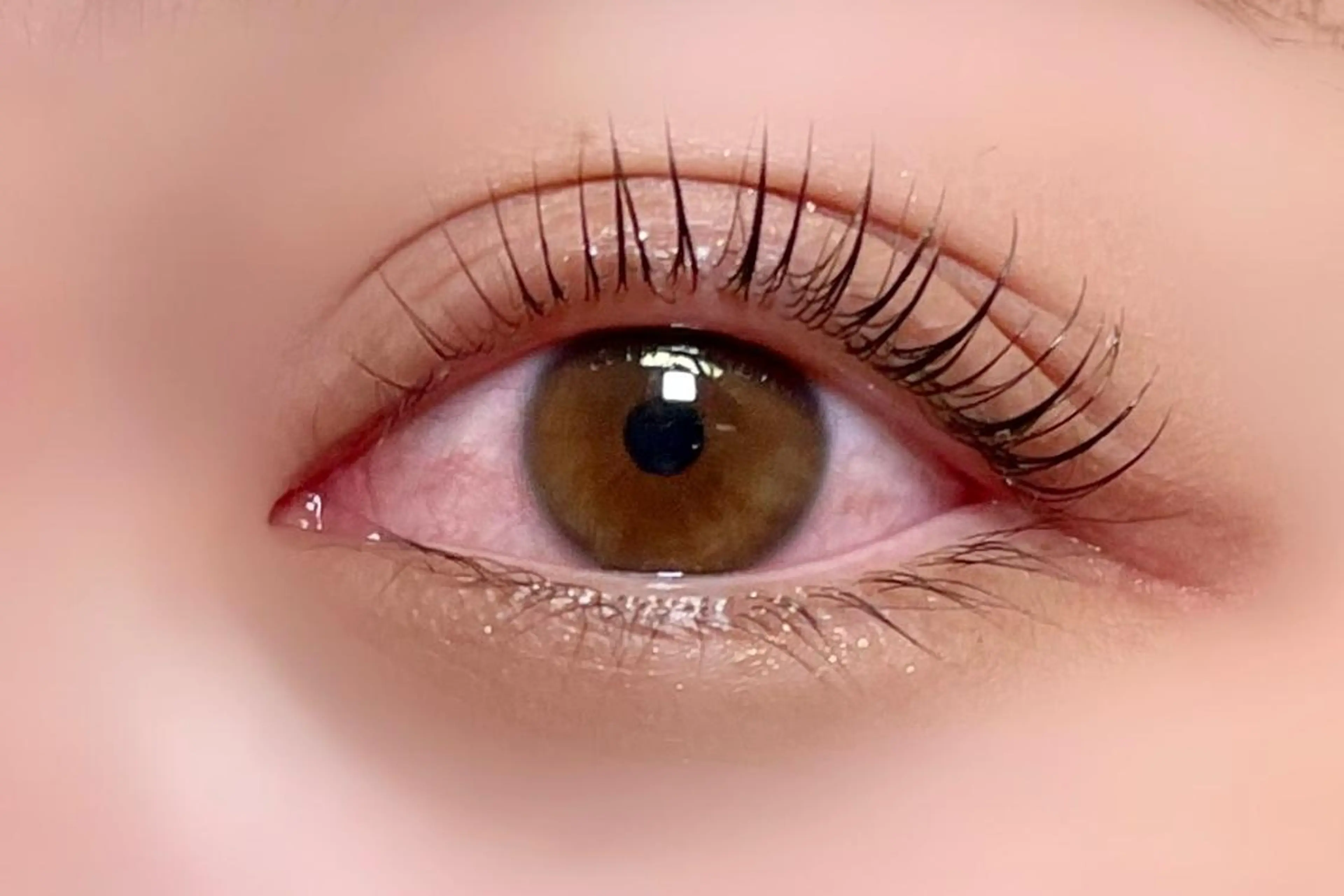 マツエク・マツパ マツエク 大阪福島 韓国まつげ Sayaka🤍🐩のマツエク・マツパデザイン