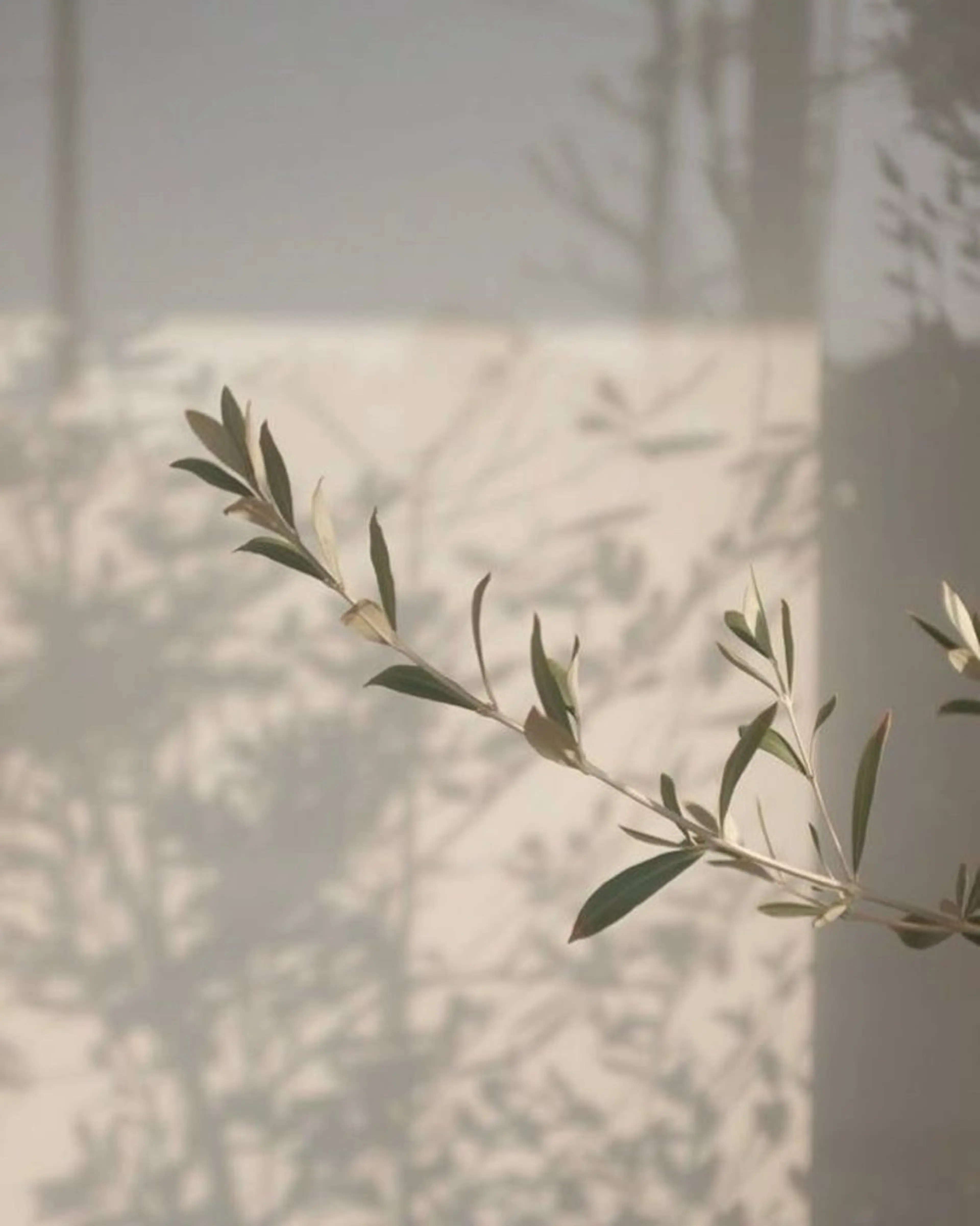 マツエク・マツパ m♡ eyelashのマツエク・マツパデザイン