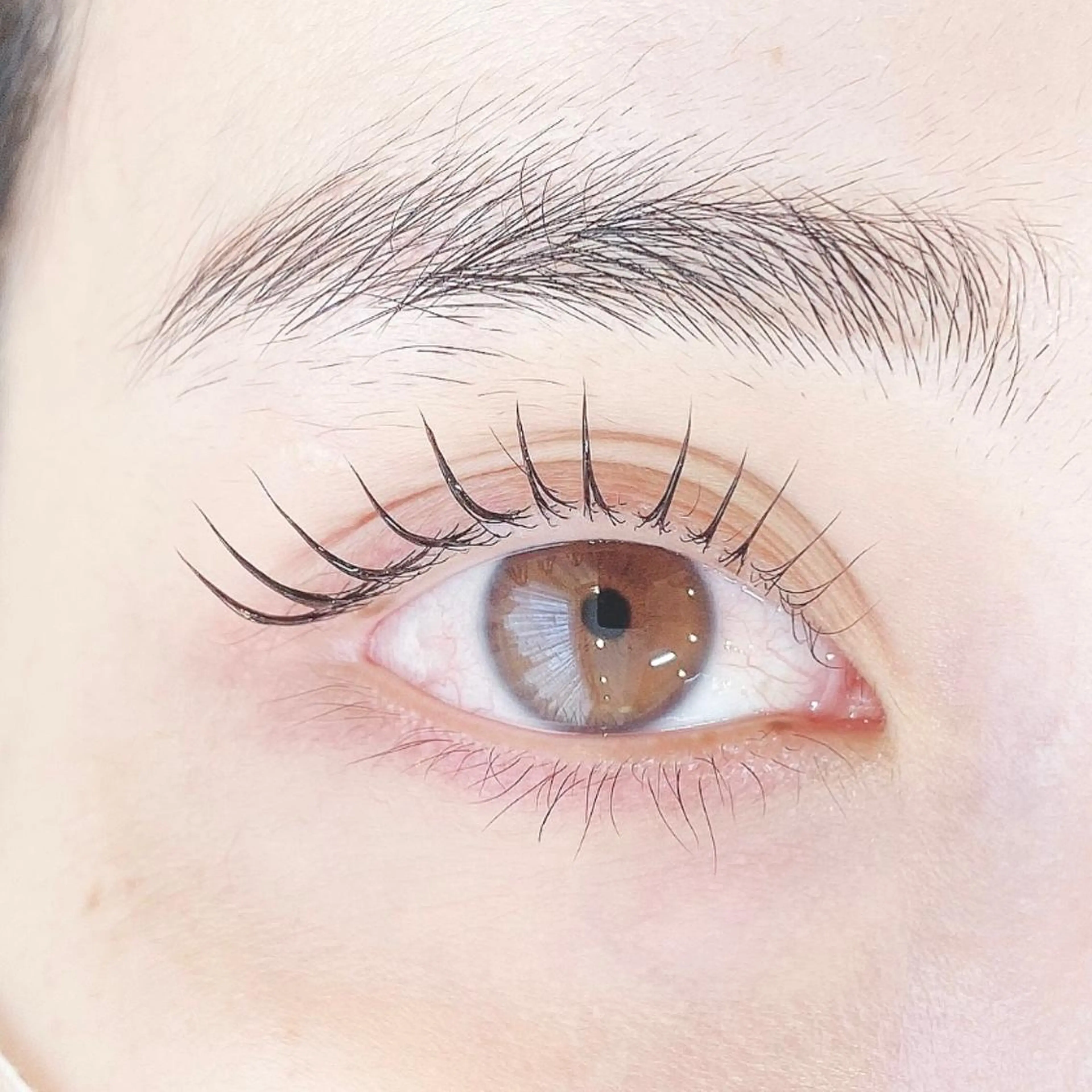 2・3回目の方限定♡【次世代まつげパーマ/ラッシュリフト/パリジェンヌ】ケアリッチパーマ♡の写真