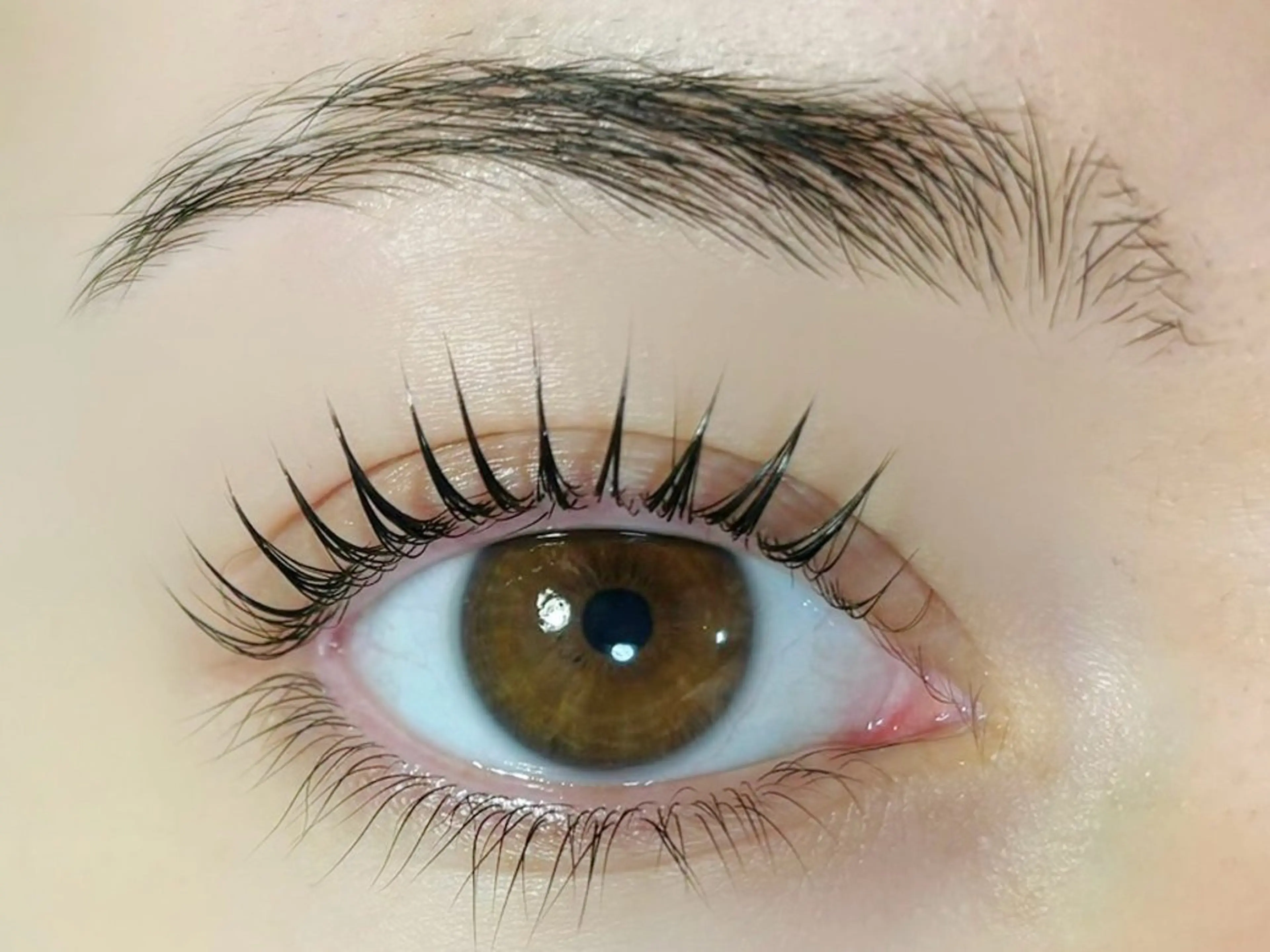 ✨Trコーティング付🍒上下まつ毛パーマ ¥5980の写真