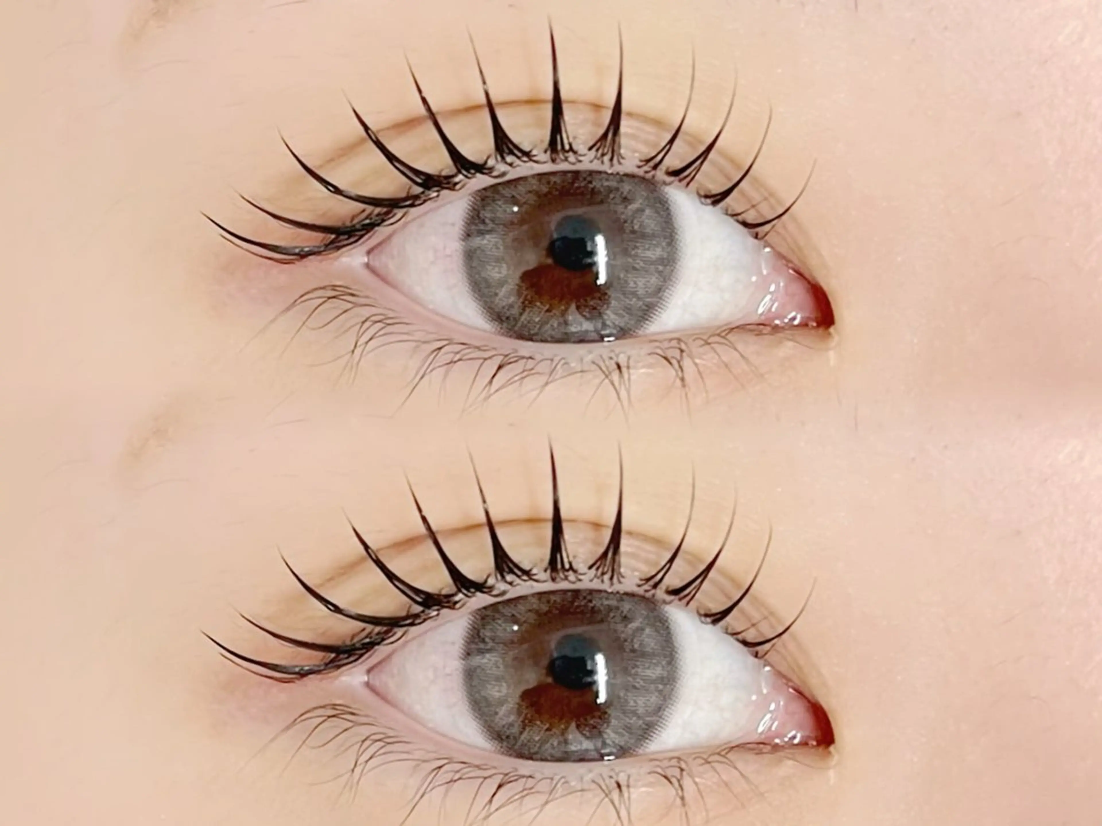 【❤️‍🔥ご新規様・平日限定❤️‍🔥】パリジェンヌorまつ毛パーマの写真