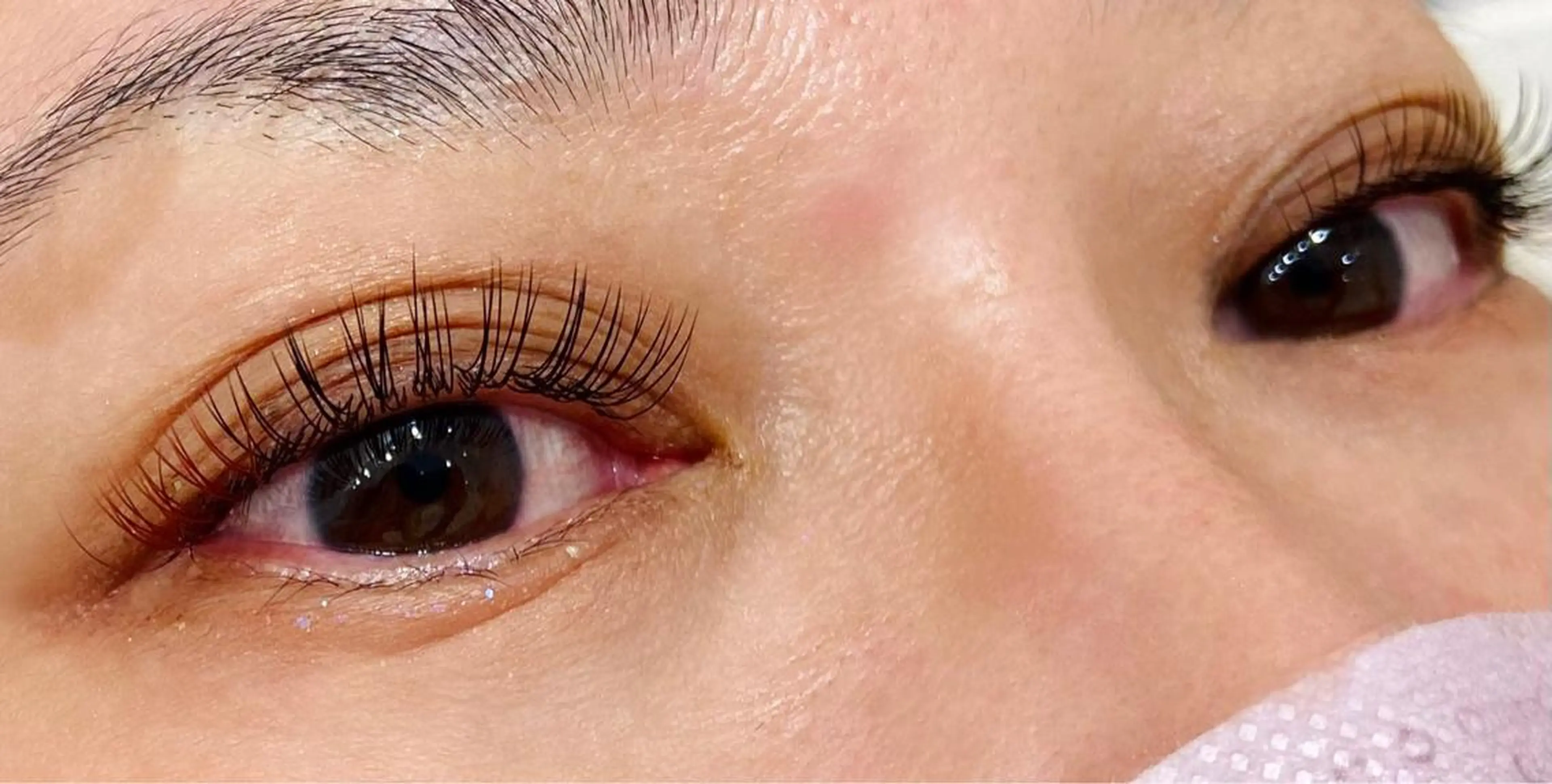 フラットラッシュ130本の写真