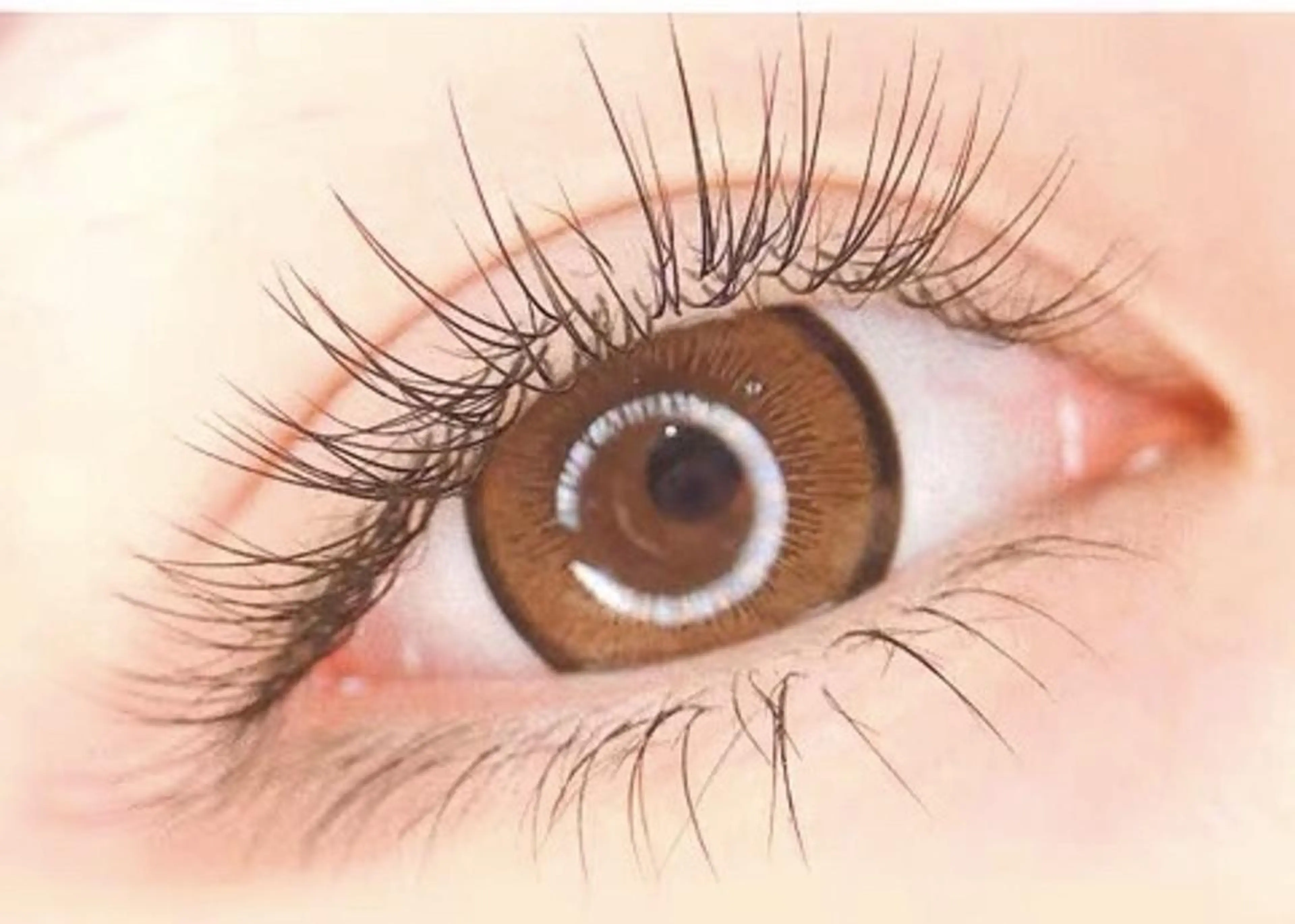 マツエク・マツパ Cute B e au t yのマツエク・マツパデザイン